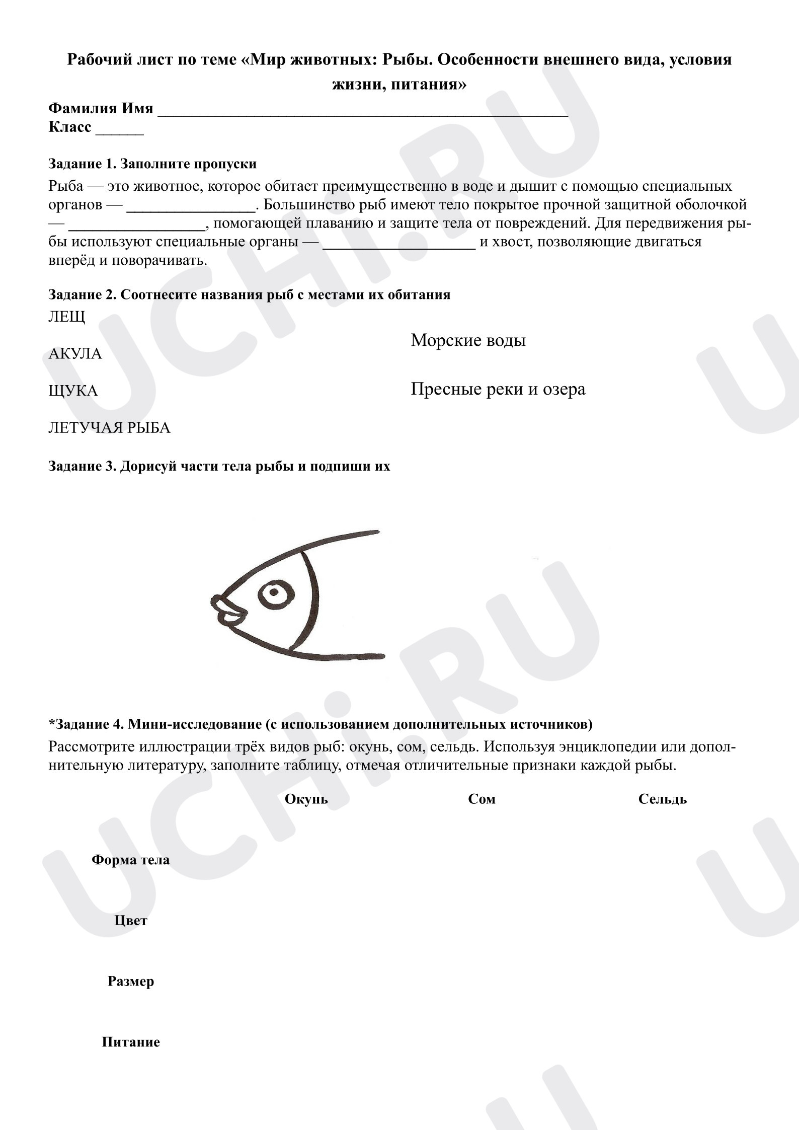 Предпросмотр материала Рабочий лист к уроку окружающего мира по теме «Мир животных: рыбы»
