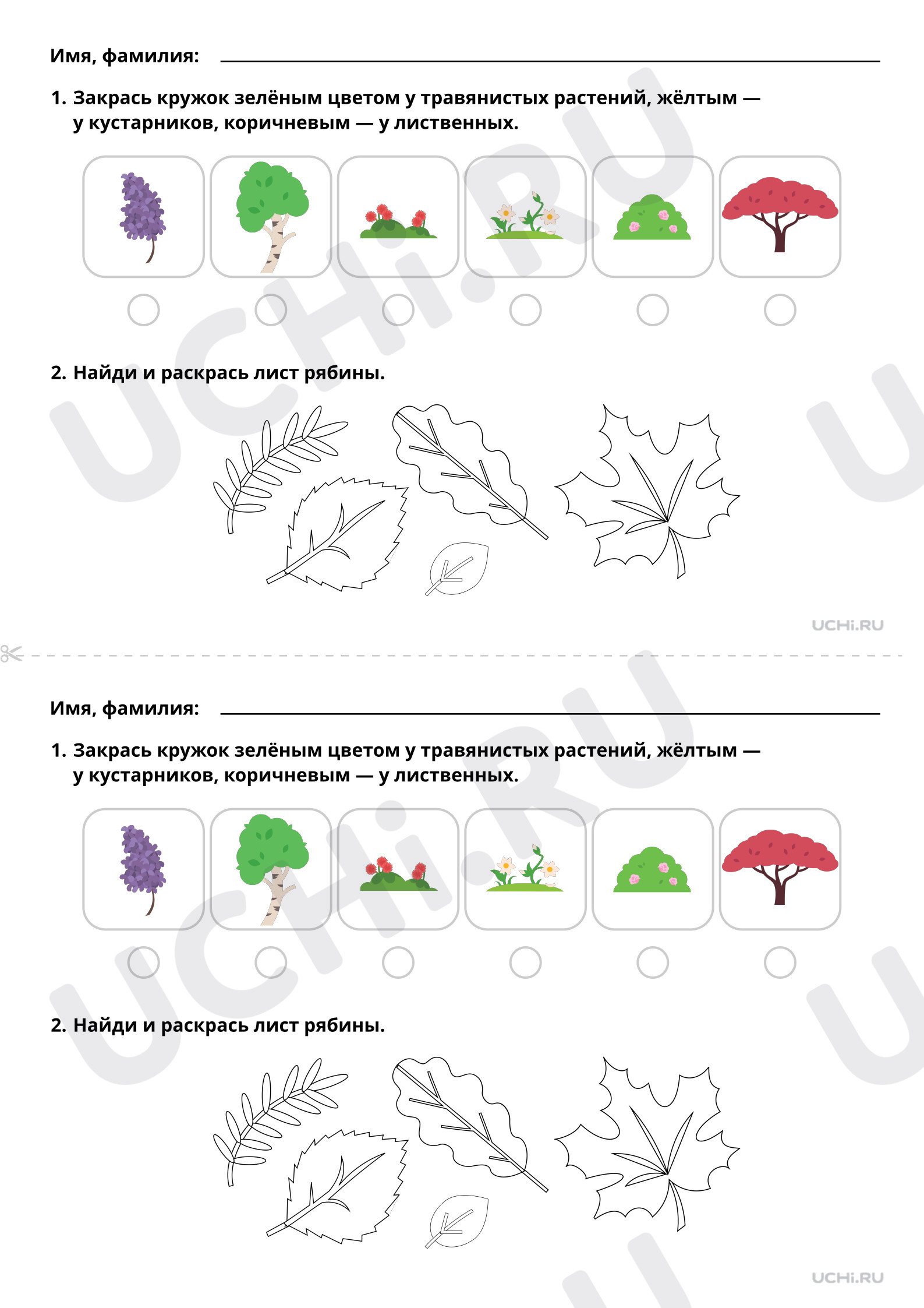 Окружающий мир, 1 класс, Лиственные растения (базовый уровень).pdf