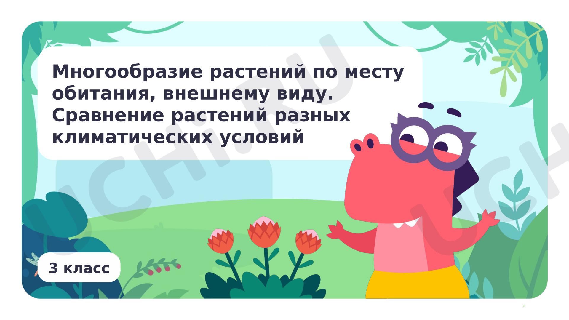 Предпросмотр материала Многообразие растений по месту обитания, внешнему виду