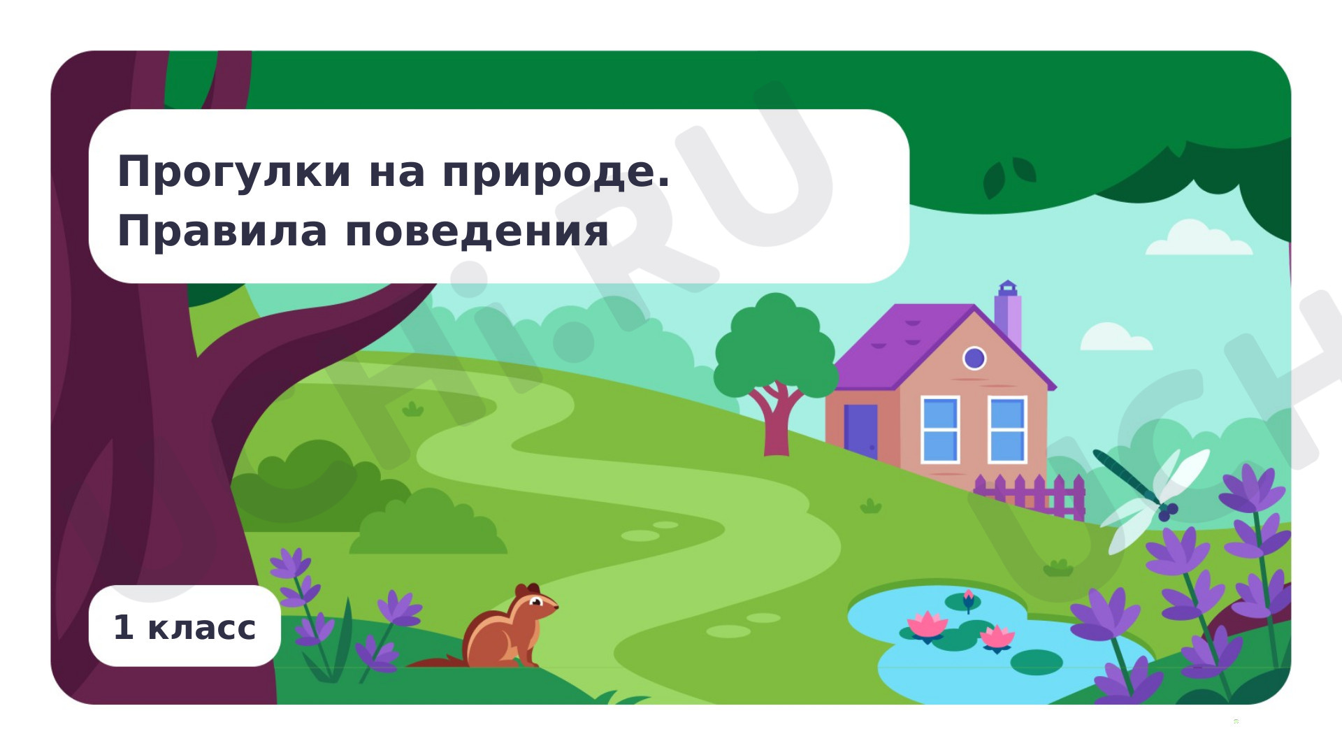 Предпросмотр материала Прогулки на природе. Правила поведения