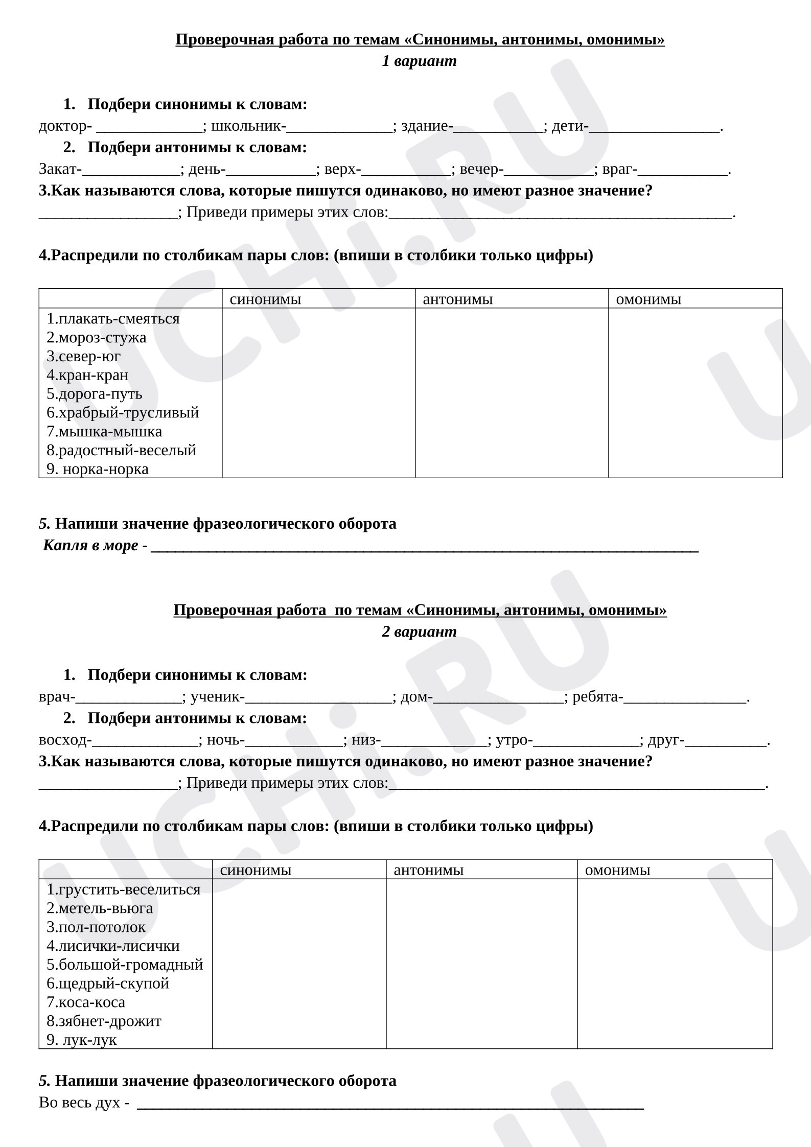 Предпросмотр материала Проверочная работа к уроку русского языка по теме «Синонимы, антонимы, омонимы».