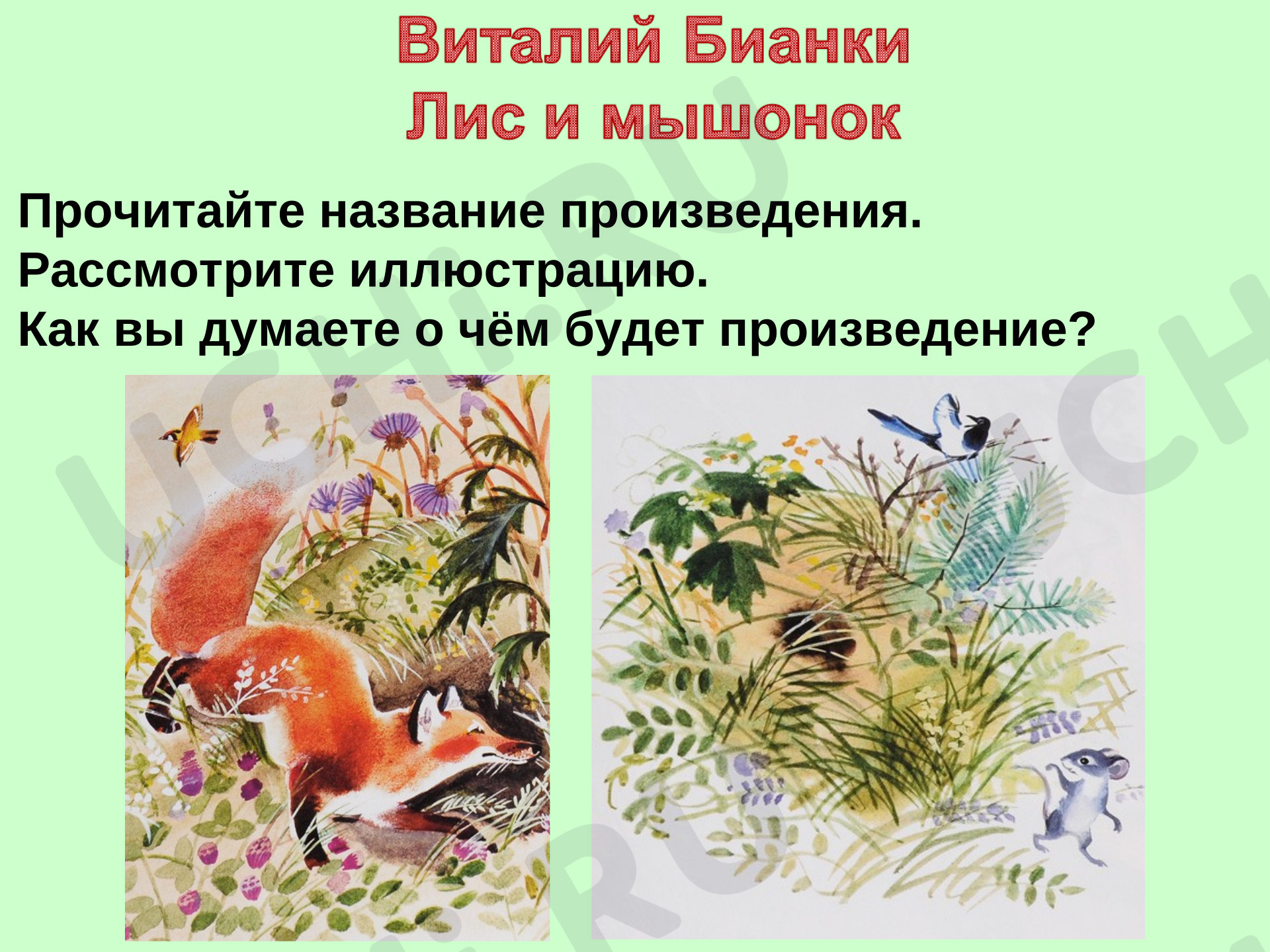 Предпросмотр материала Презентация к уроку литературного чтения. Виталий Бианки «Лис и мышонок».