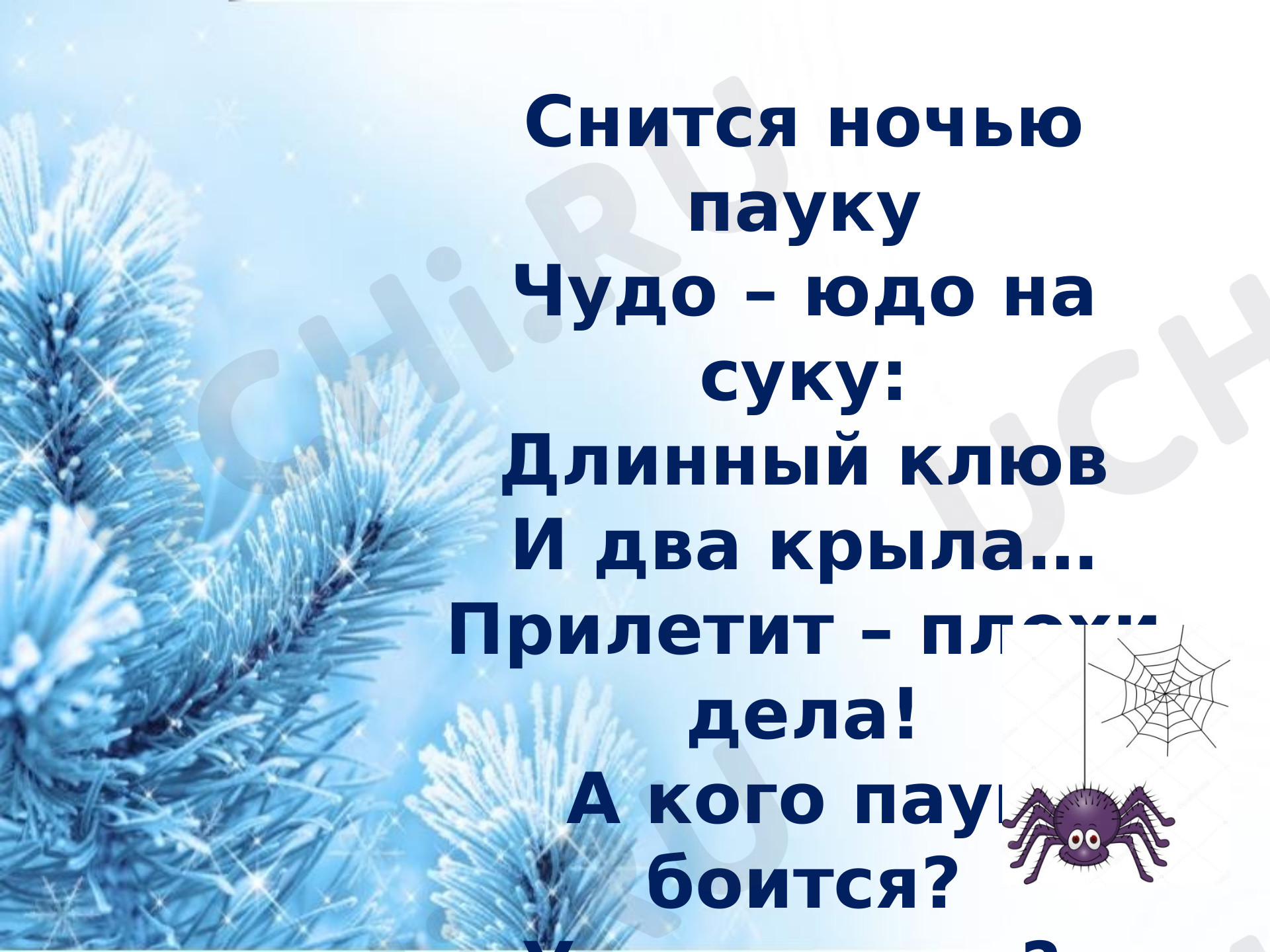 Предпросмотр материала Птичьи секреты