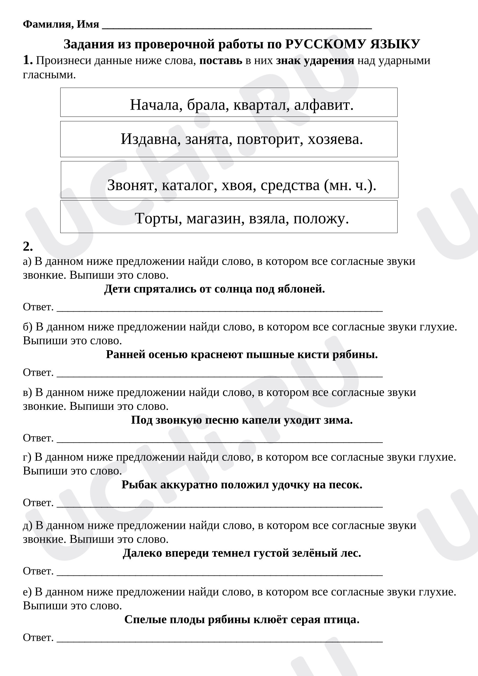 Предпросмотр материала Подготовка к ВПР по русскому языку.