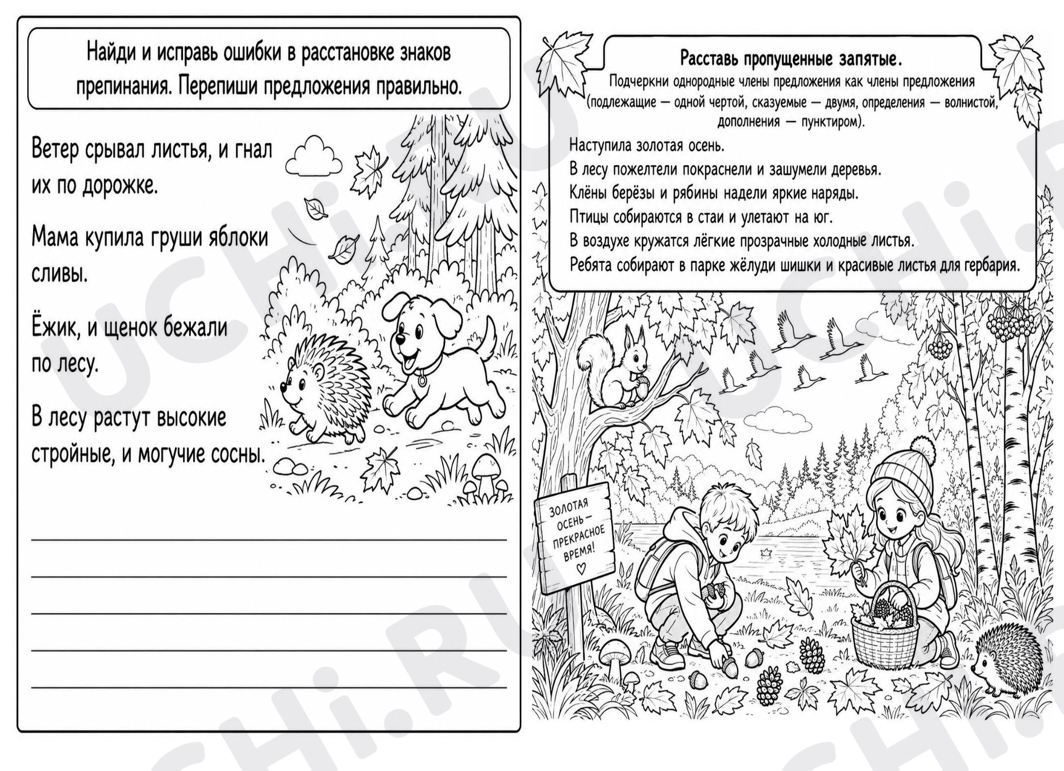 Предпросмотр материала Рабочий лист- раскраска на тему: «Однородные члены предложения»