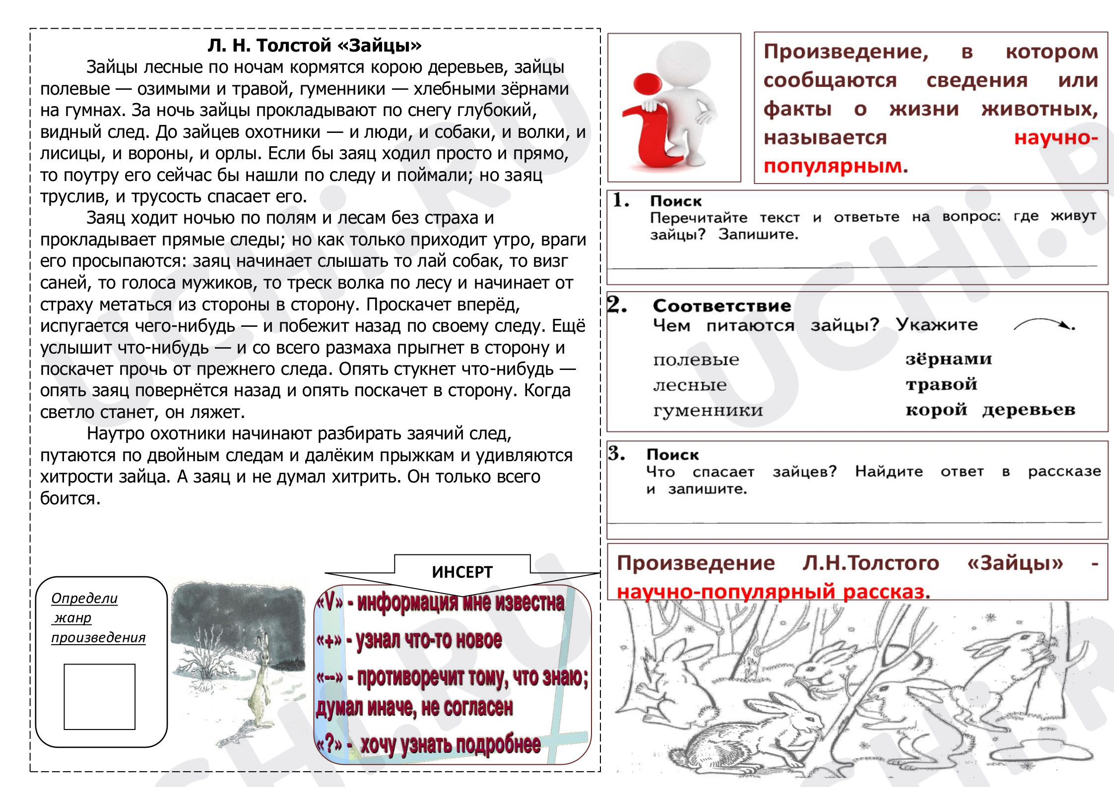 Предпросмотр материала Рабочий лист по литературному чтению Л. Н. Толстой «Зайцы».