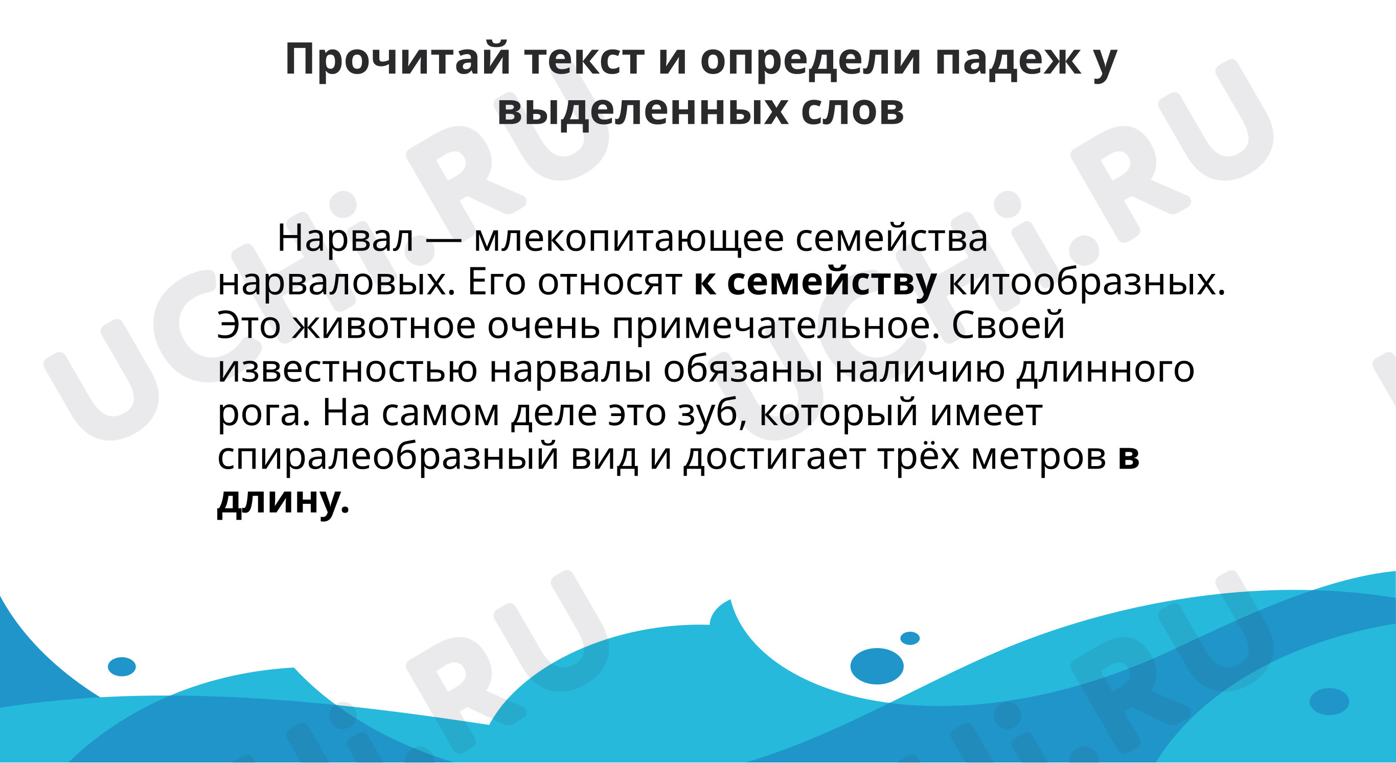 Прочитай текст устно определи вид выделенных предложений. Прочитай текст устно определи вид выделенных предложений