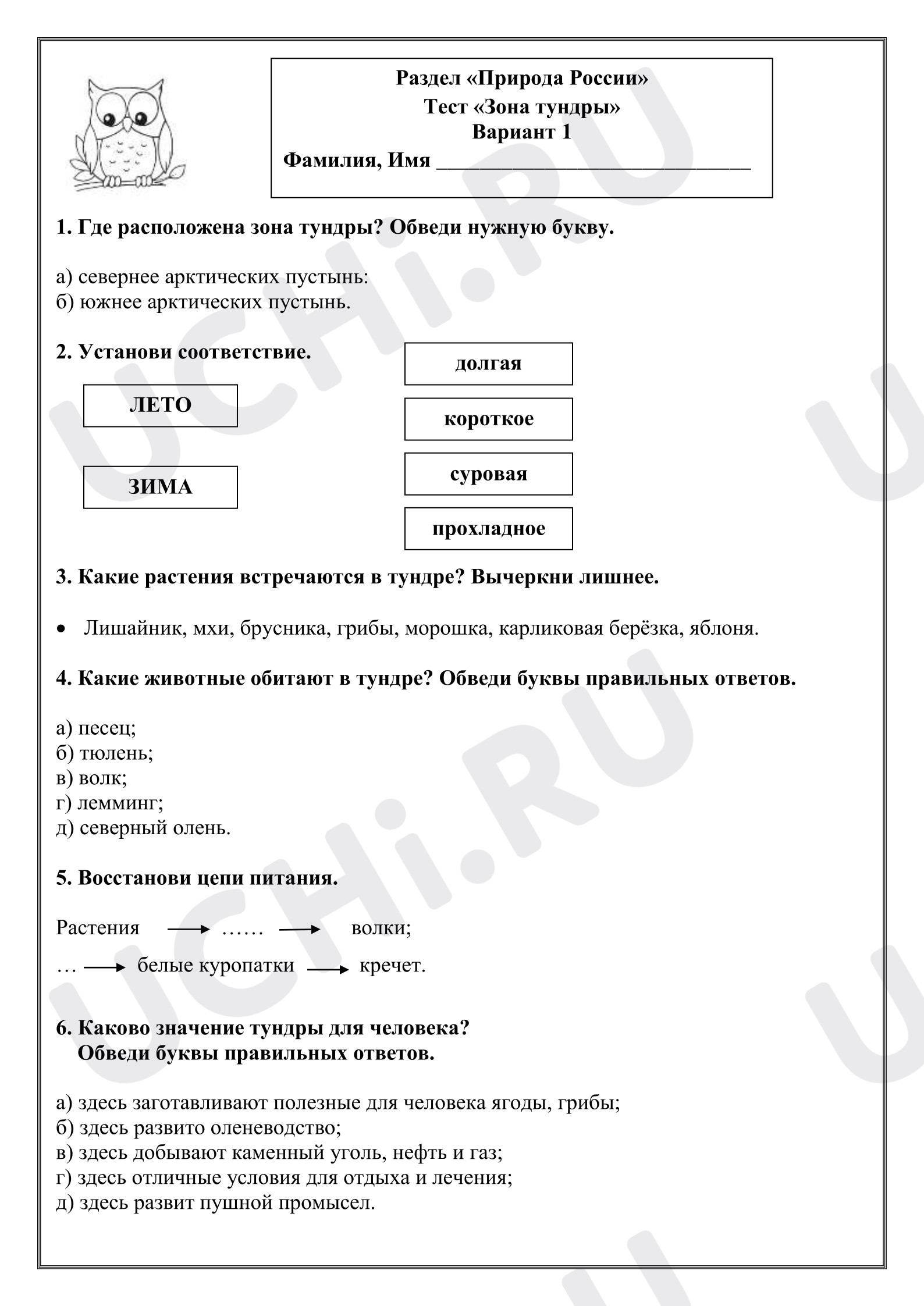 Предпросмотр материала Проверочная работа к уроку окружающего мира. Тема: «Зона тундры»