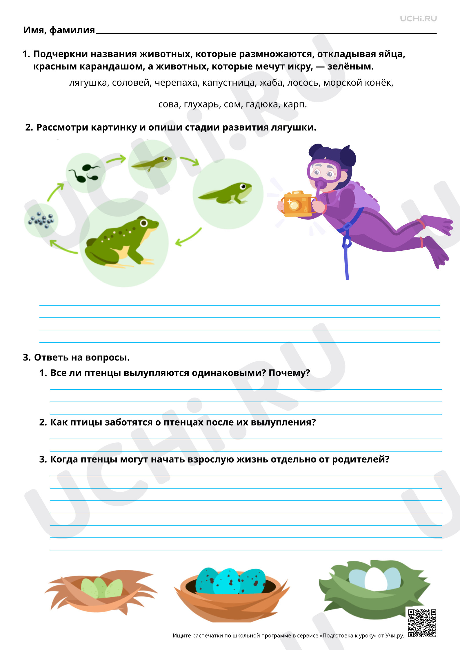 Предпросмотр материала Размножение и развитие рыб, птиц, зверей. Базовый уровень