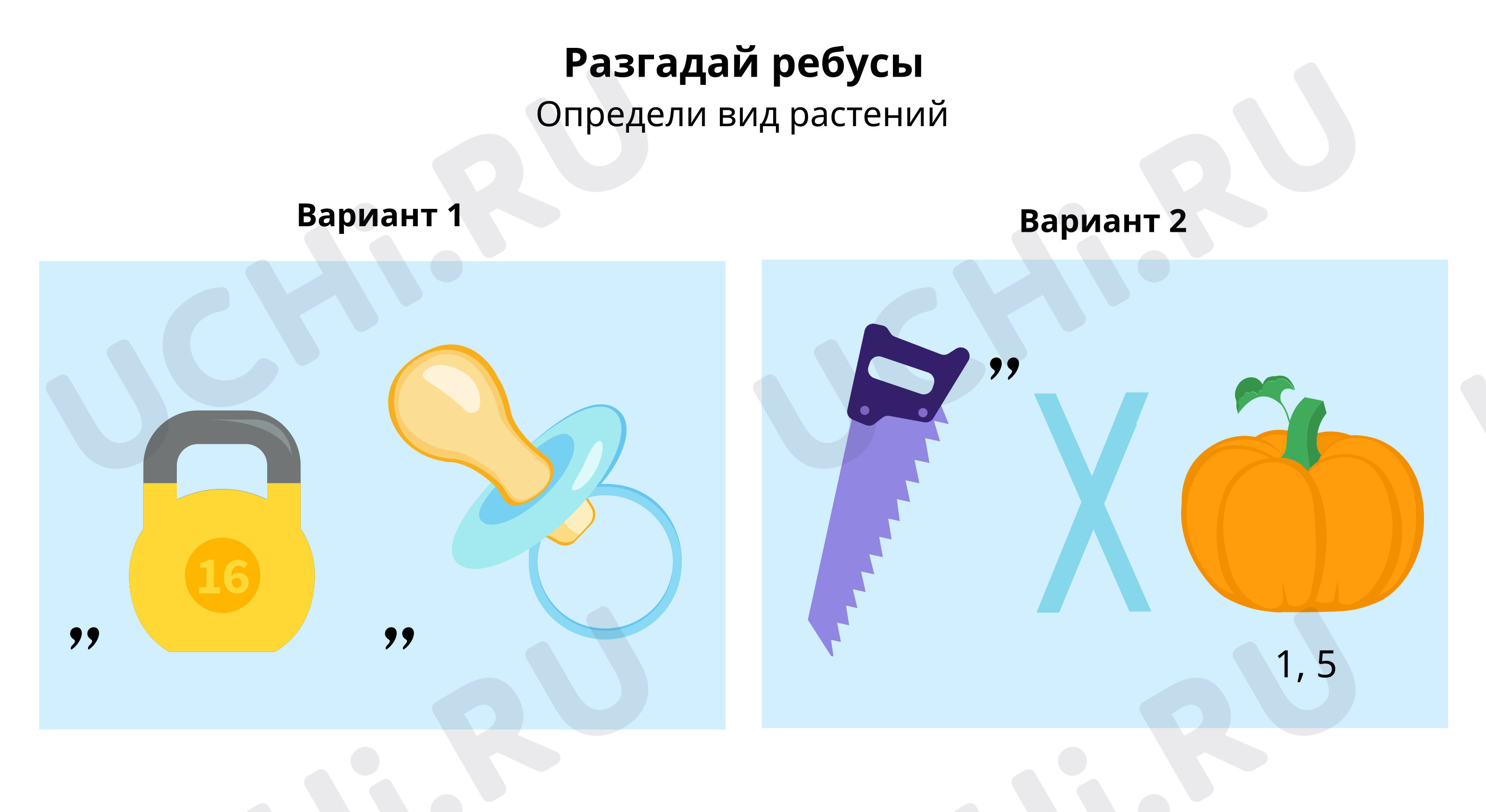 Предпросмотр материала Разгадай и определи вид растения
