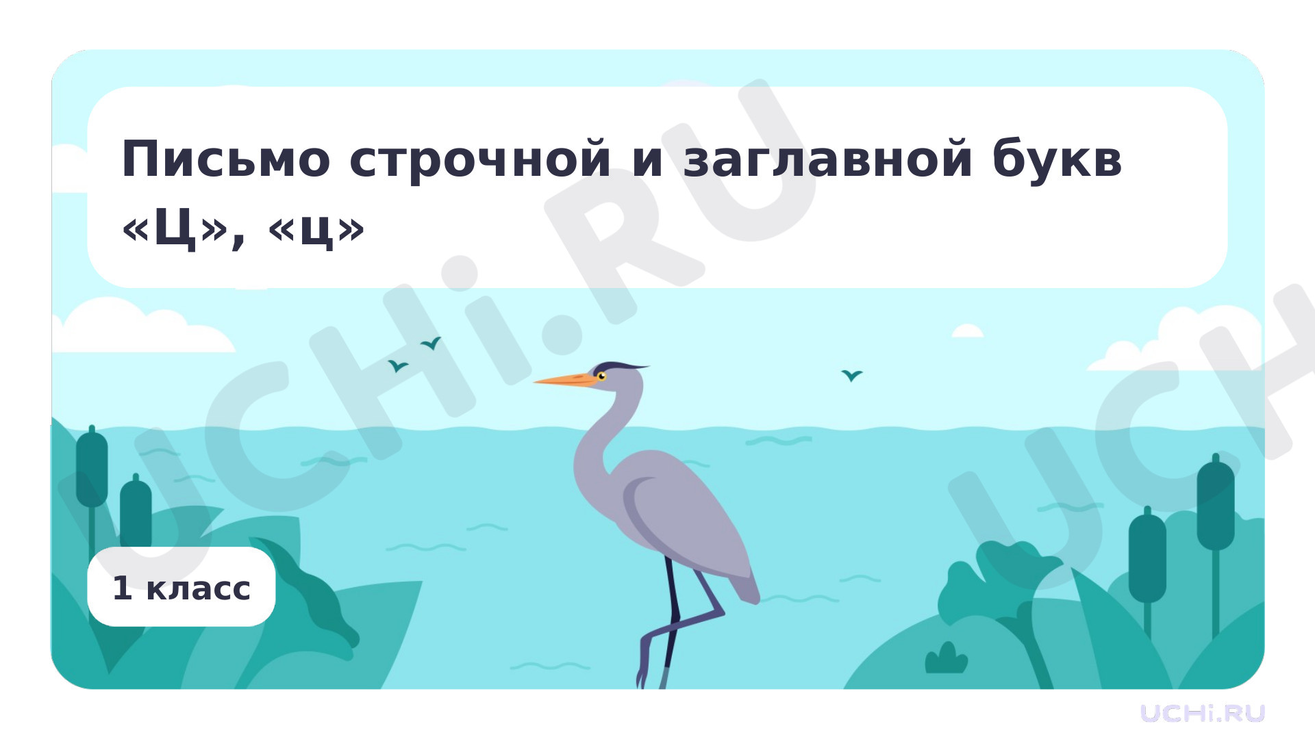 Предпросмотр материала Письмо строчной и заглавной букв «Ц», «ц»