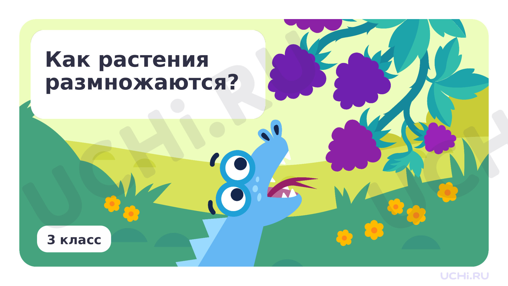Предпросмотр материала Как растения размножаются?