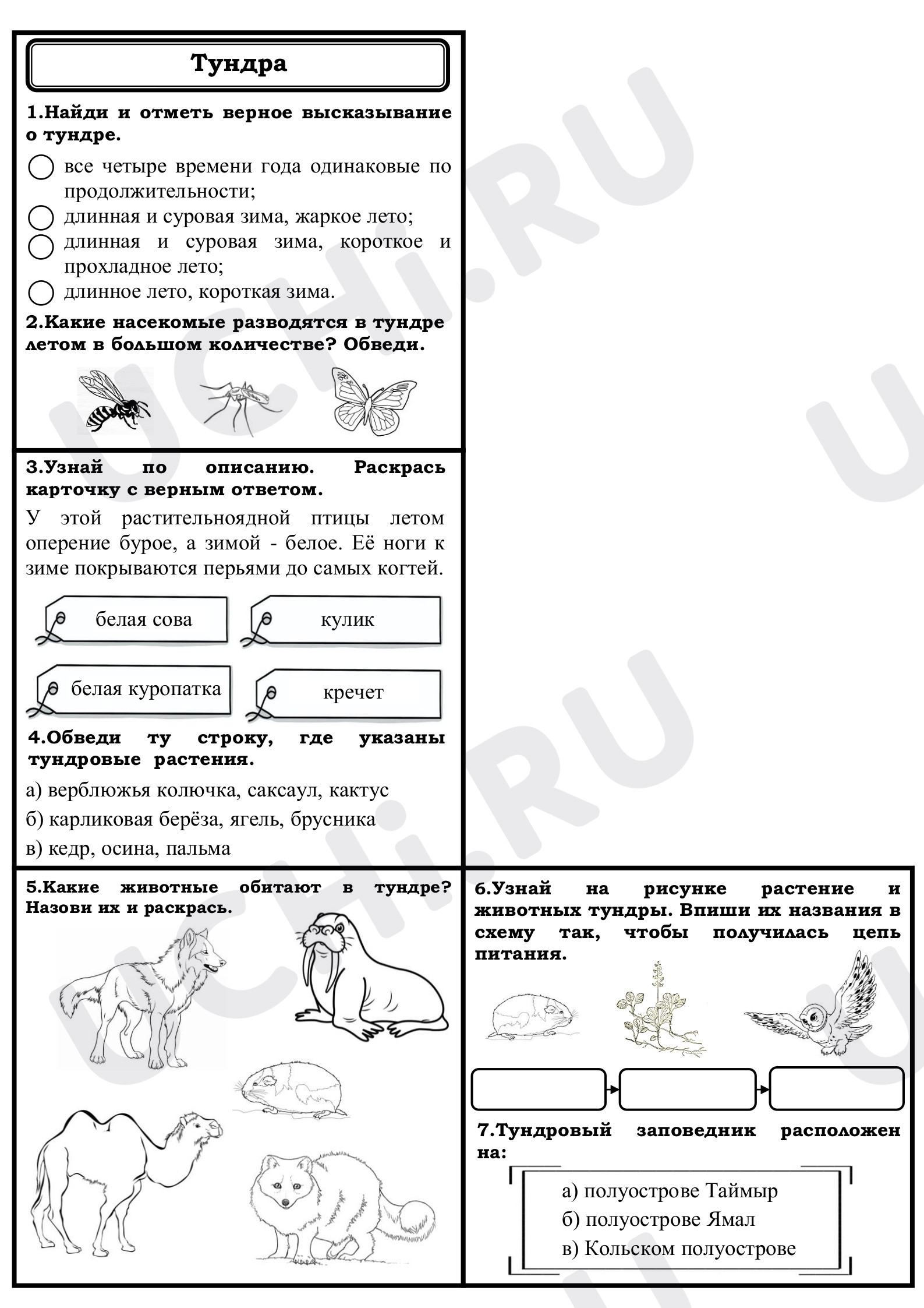 Предпросмотр материала Тундра