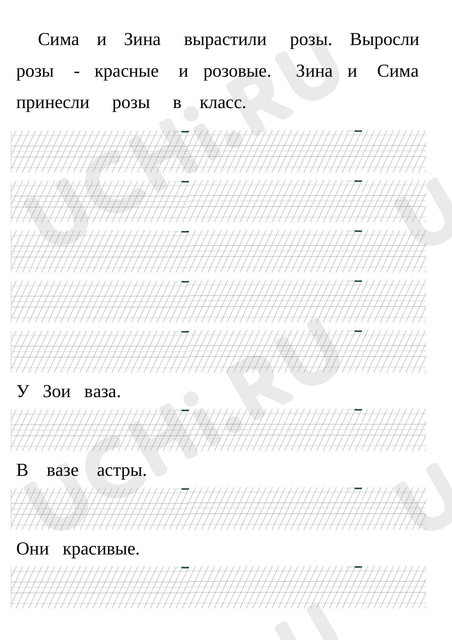 Предпросмотр материала Рабочий лист по теме: Перевод печатного текста в письменный -  Розы