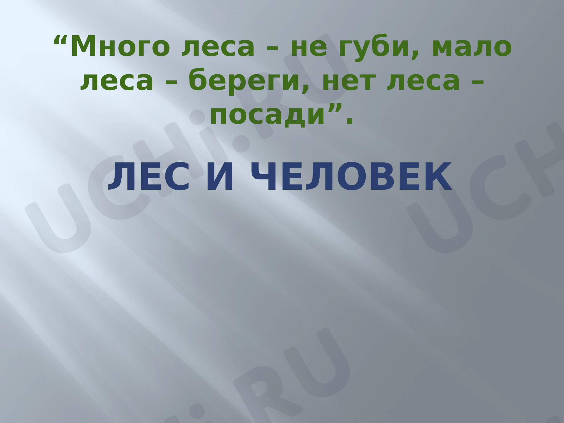 Предпросмотр материала Презентация к уроку окружающего мира по теме: Лес