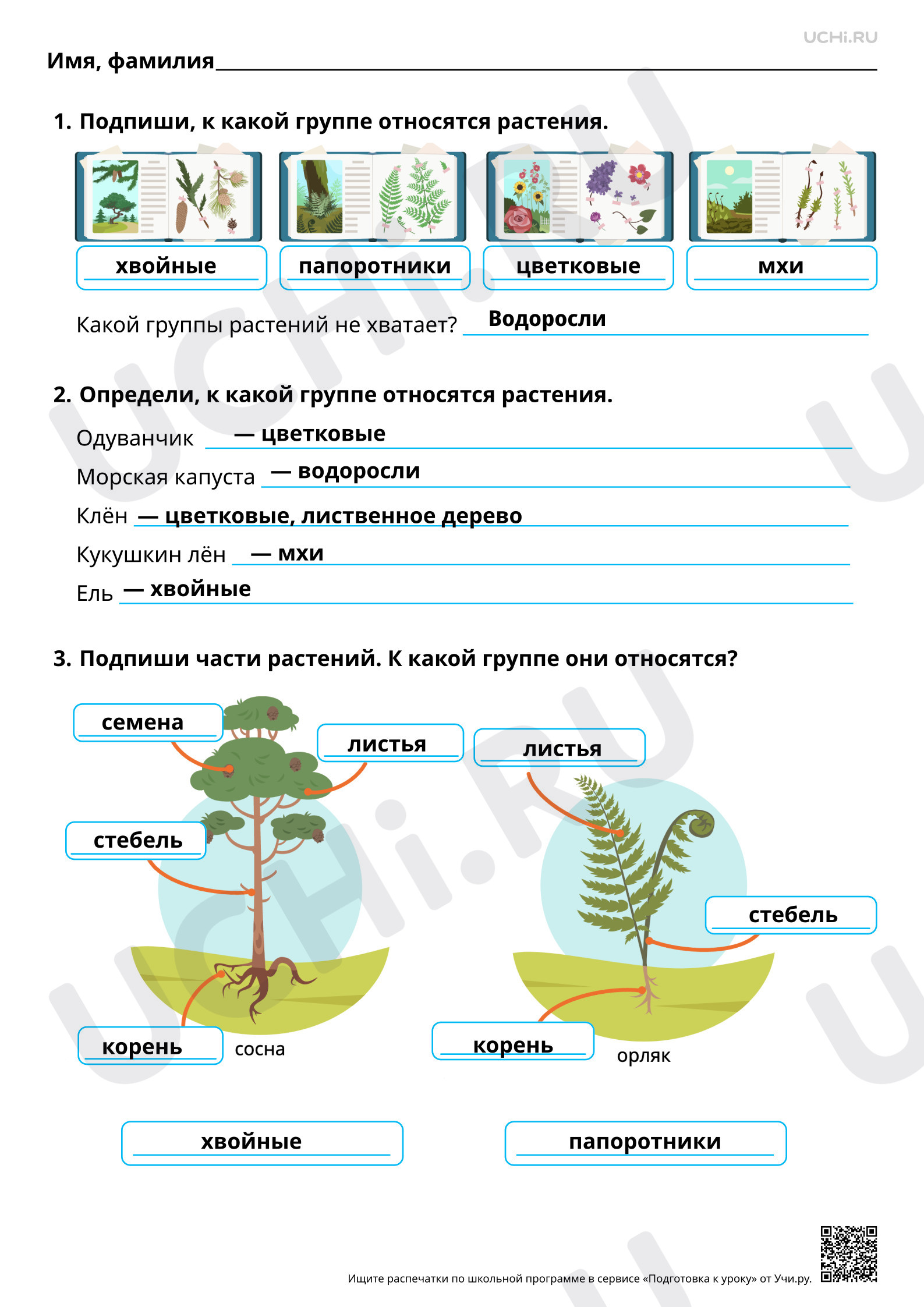 Предпросмотр материала Разнообразие растений. Ответы