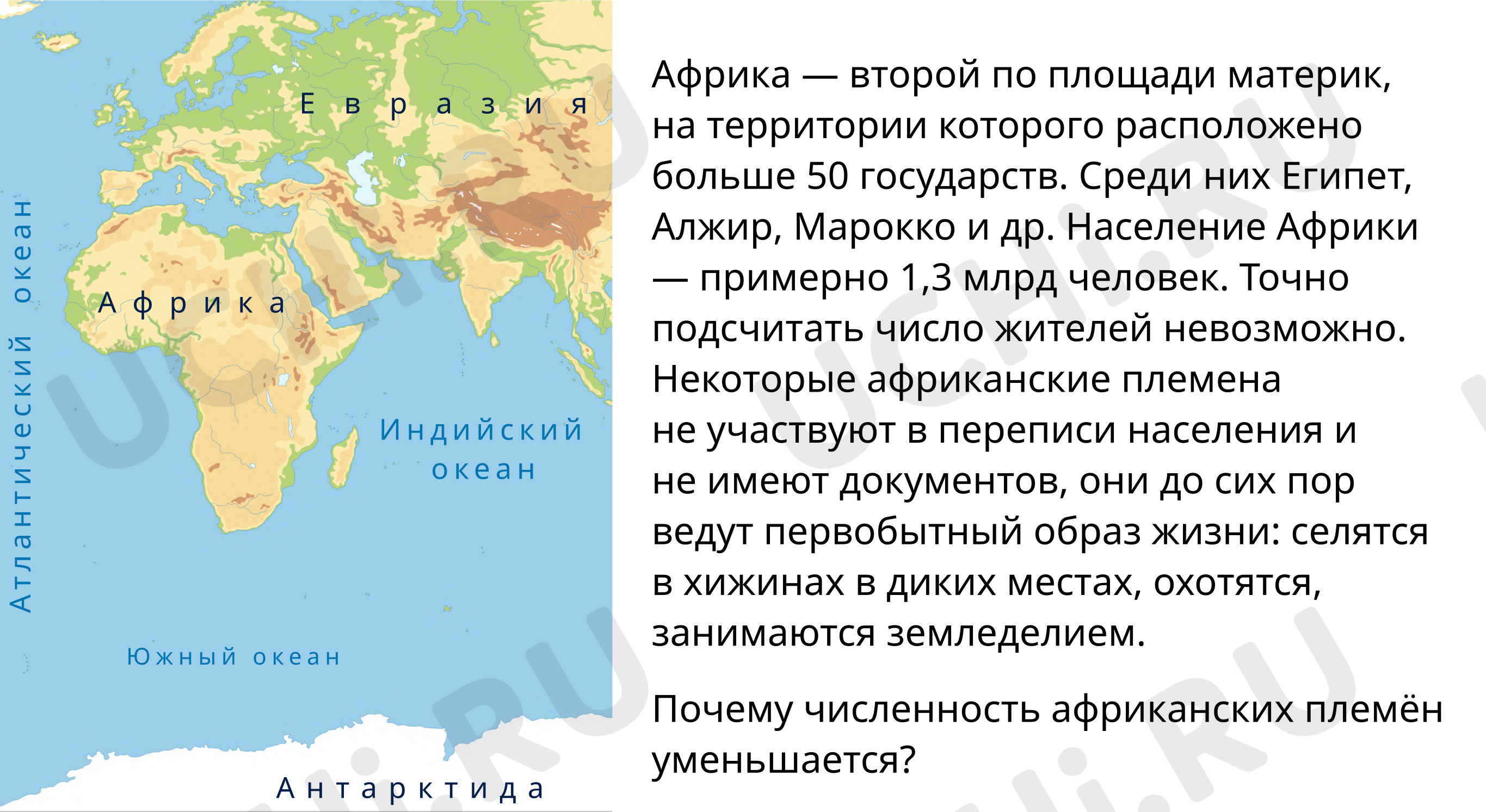 Путешествие по материкам 5 класс география. Путешествие по материкам 7 класс география. Путешествие по материкам 7 класс география. Путешествия по южным материкам. На каких материках сделаны эти фотографии.