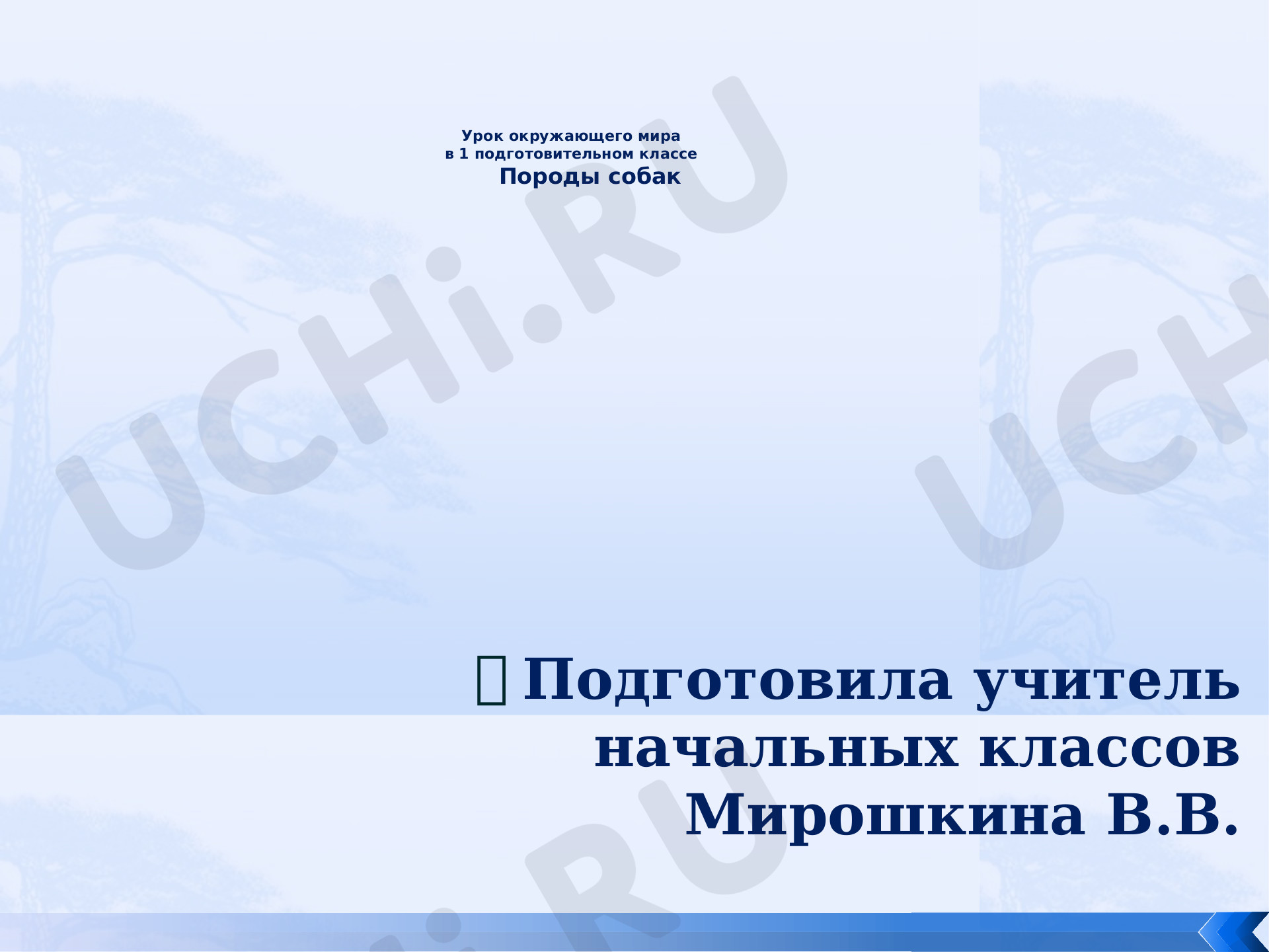 Предпросмотр материала Презентация к уроку окружающего мира. Породы собак.