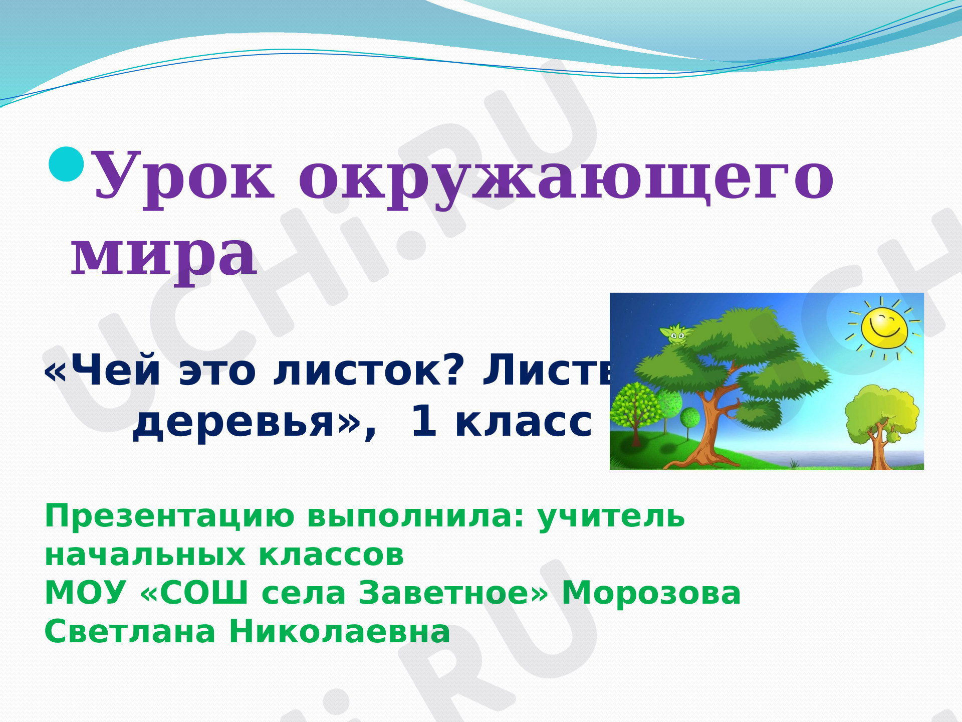 Предпросмотр материала Чей это листок. Лиственные деревья