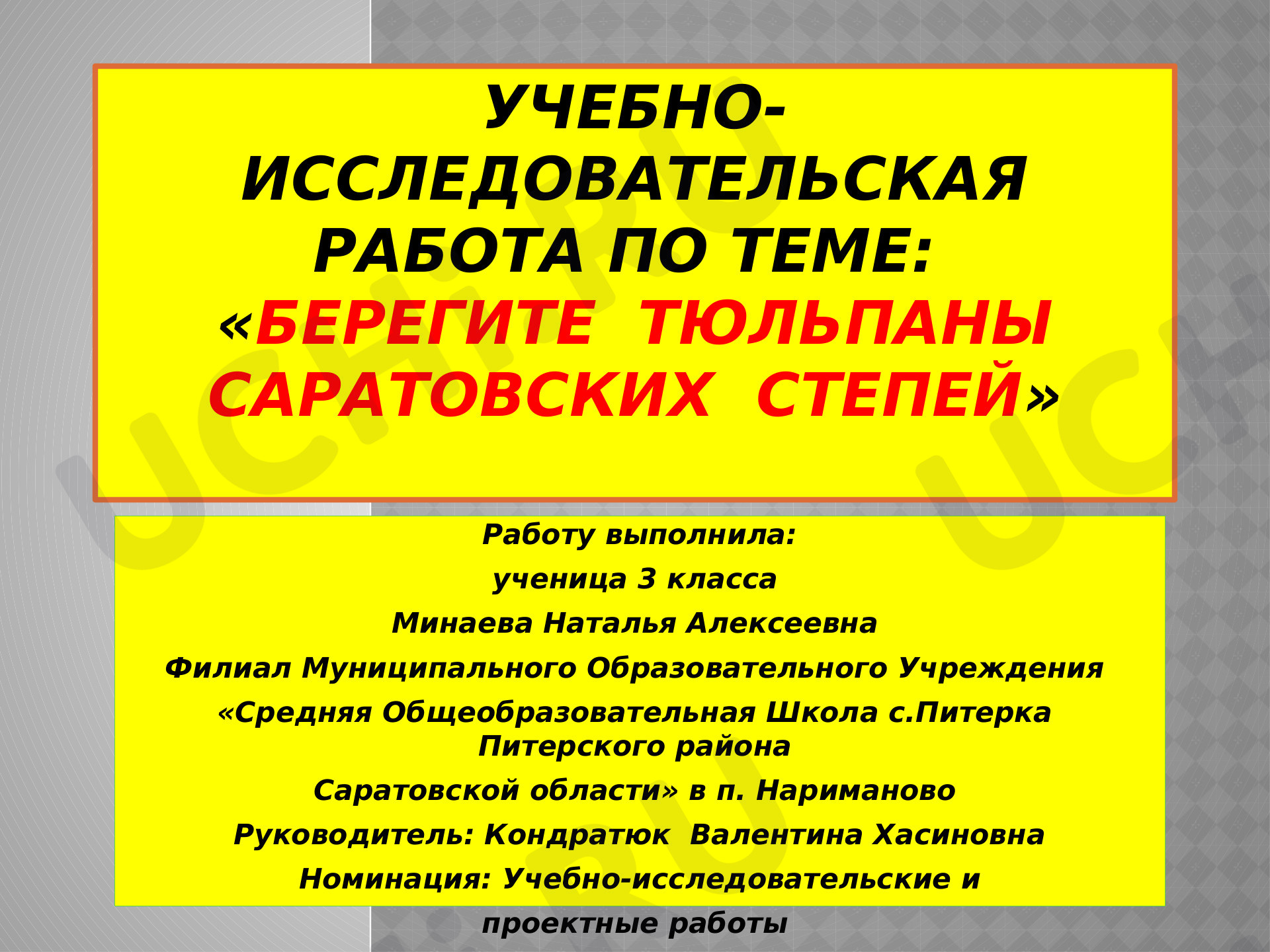 Предпросмотр материала Учебно-исследовательская работа по теме: «Берегите  тюльпаны Саратовских  степей»