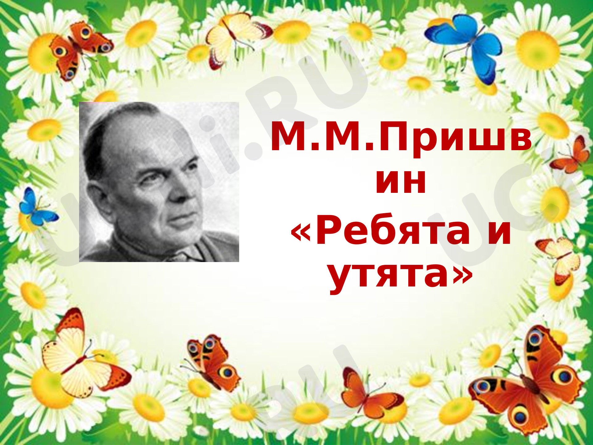 Предпросмотр материала Презентация к уроку литературного чтения по теме: М.М. Пришвин "Ребята  и утята"