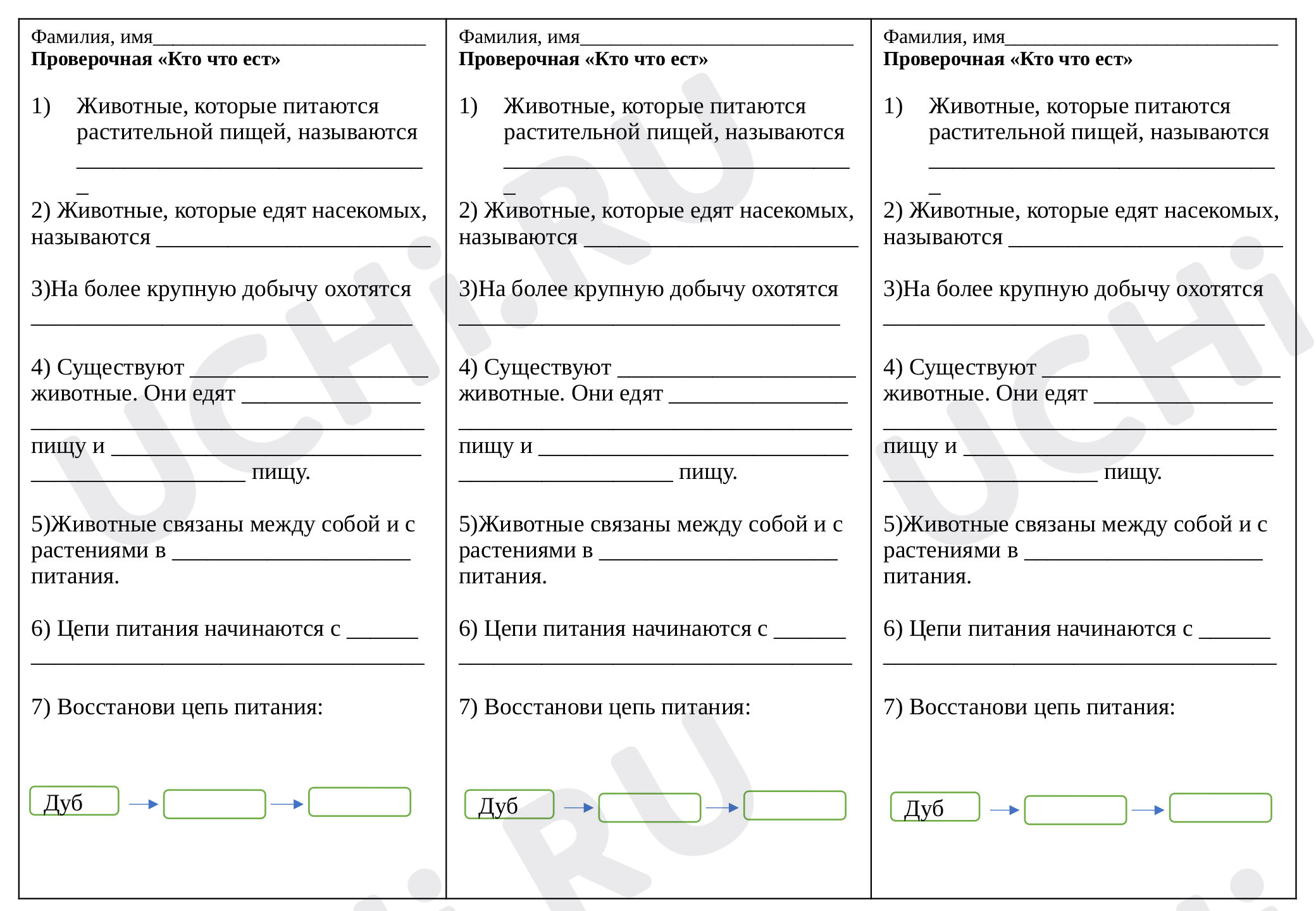 Предпросмотр материала Проверочная  работа к уроку окружающего мира по теме: Кто что ест?