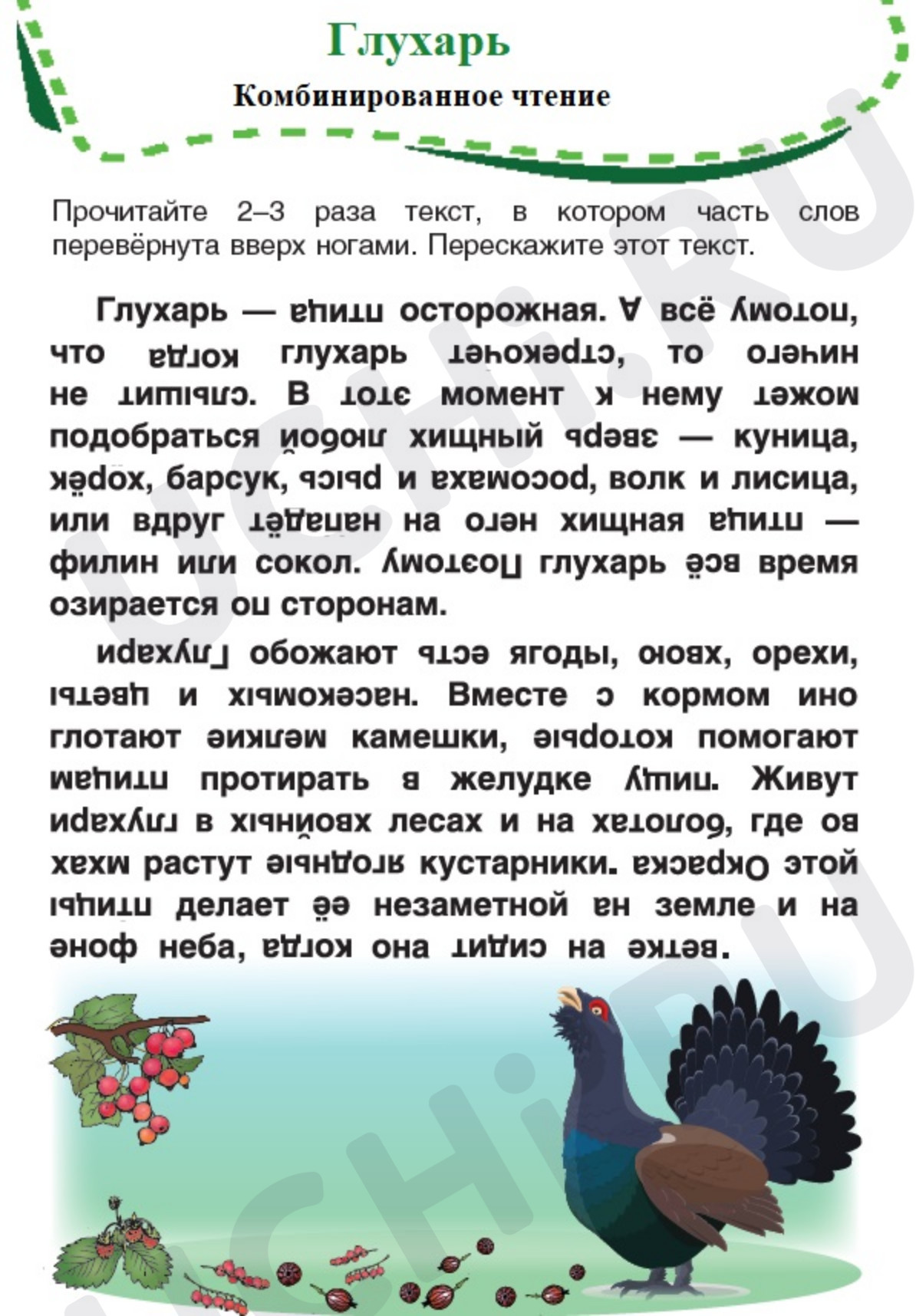 Предпросмотр материала Рабочий лист к уроку литературного чтения. Глухарь. Комбинированное чтение.