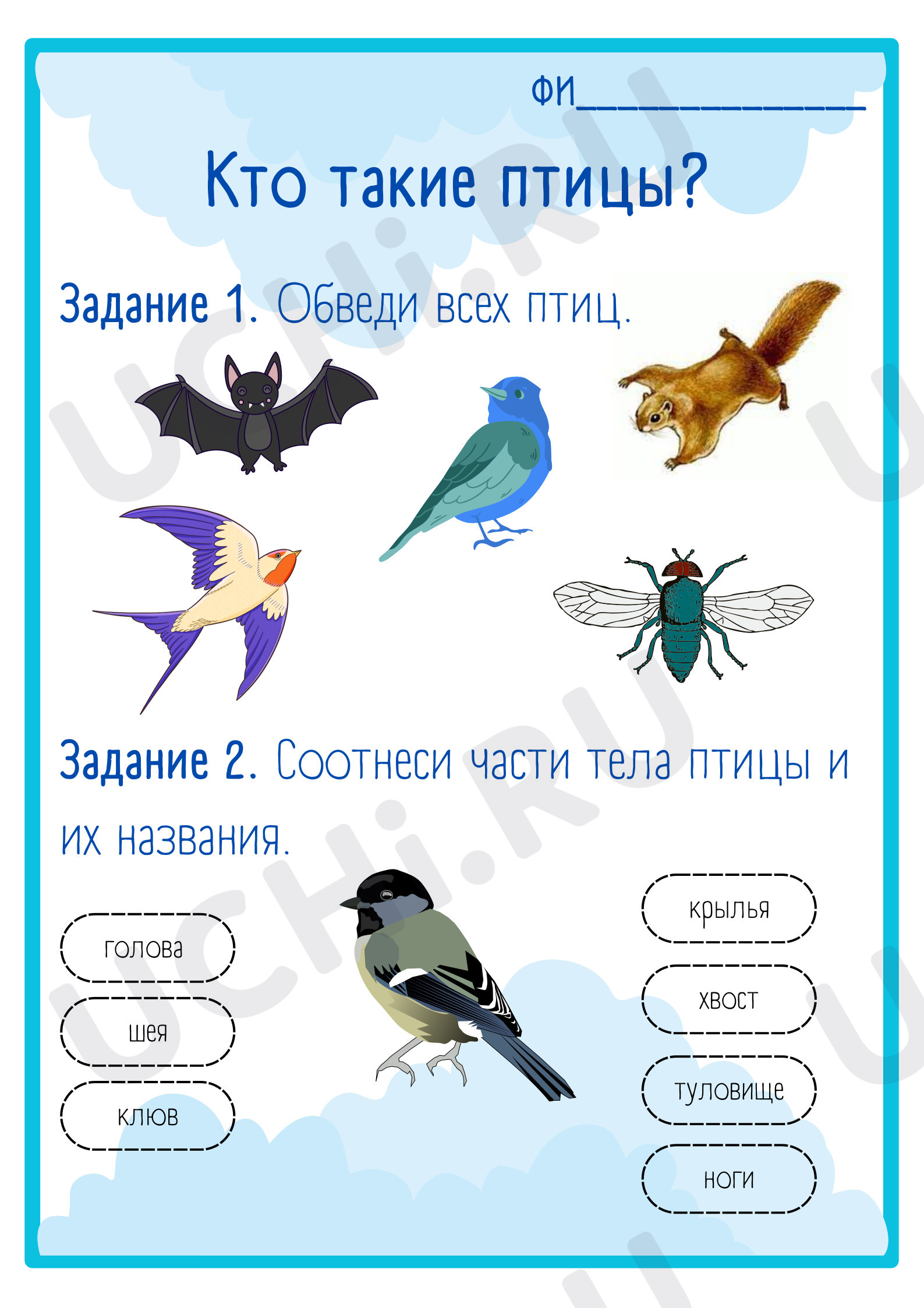 Предпросмотр материала Кто такие птицы