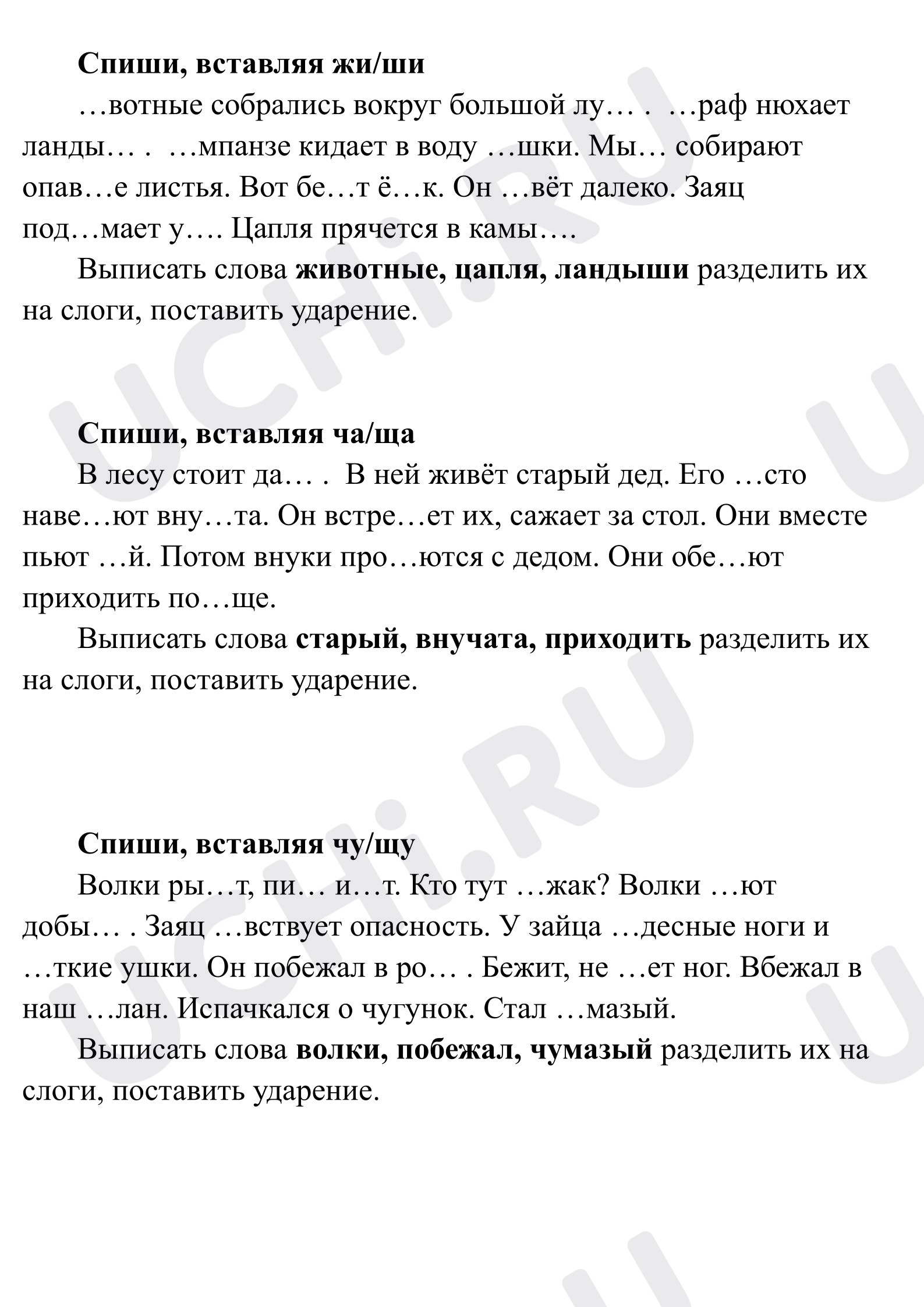 Предпросмотр материала Рабочие листы к уроку русского языка. Спиши текст, вставляя ЖИ/ШИ, ЧА/ЩА, ЧУ/ЩУ