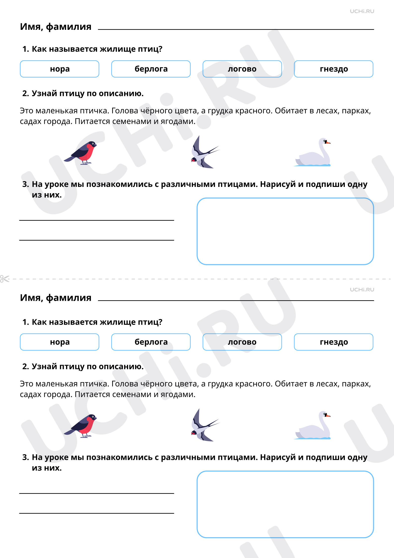 Предпросмотр материала Где обитают птицы, чем они питаются. Базовый уровень