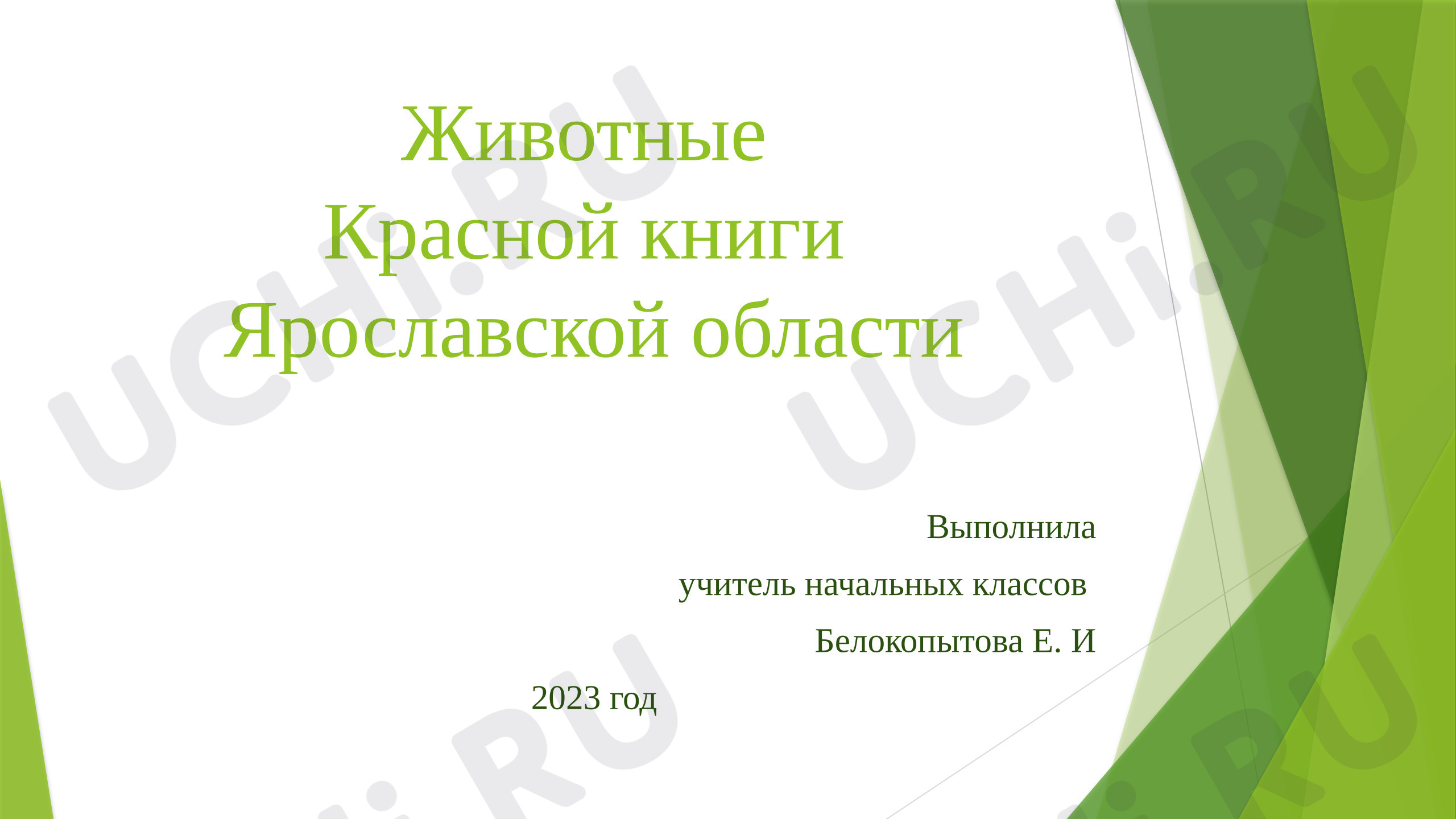 Предпросмотр материала Животные Красной книги Ярославской области