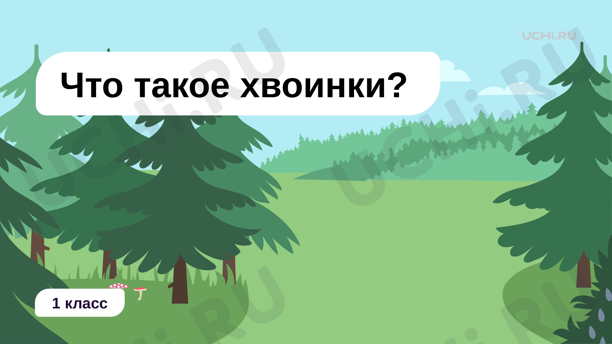 Что такое хвоинки, презентация. Окружающий мир 1 класс