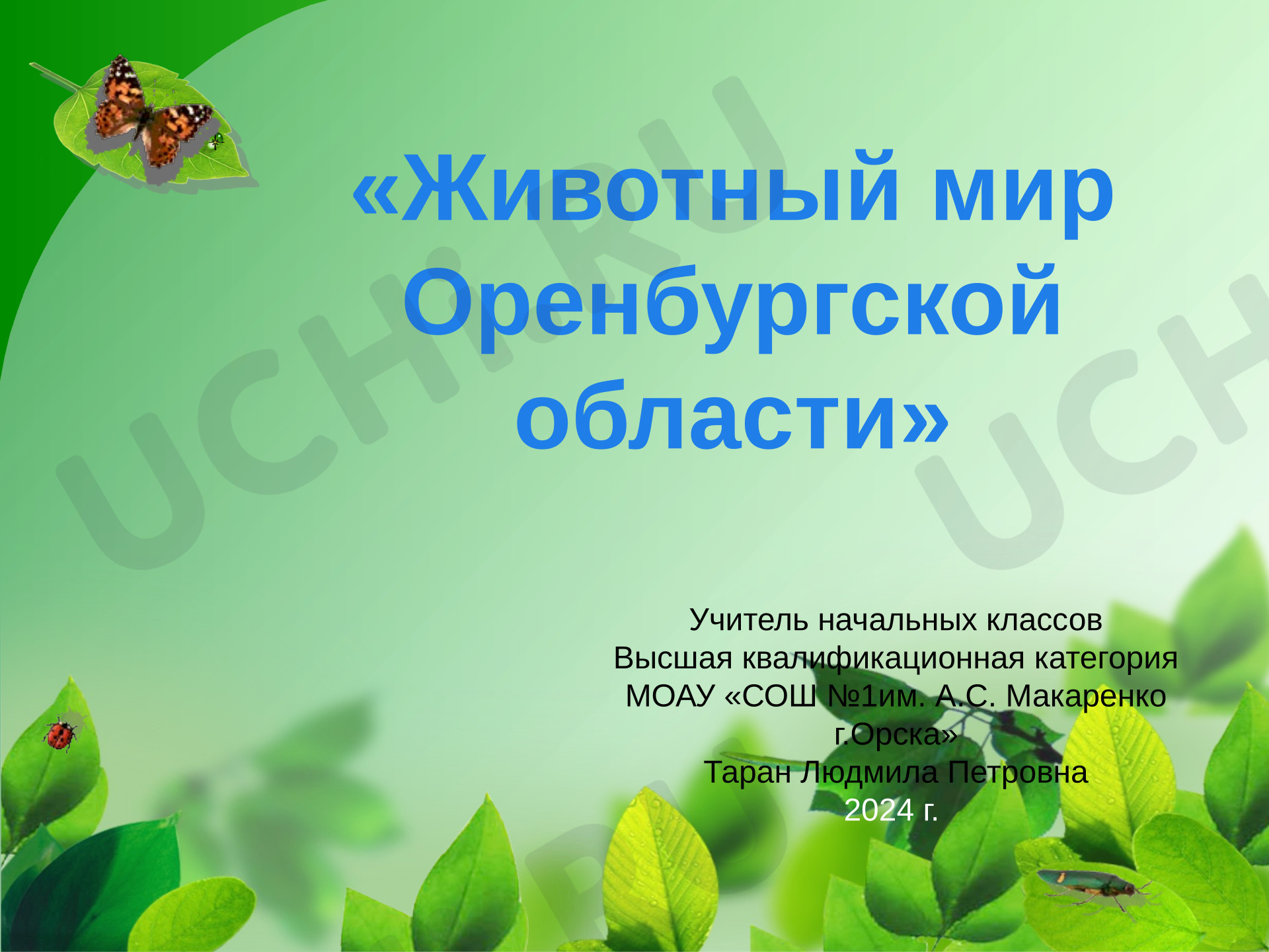 Предпросмотр материала Животный мир Оренбургской области