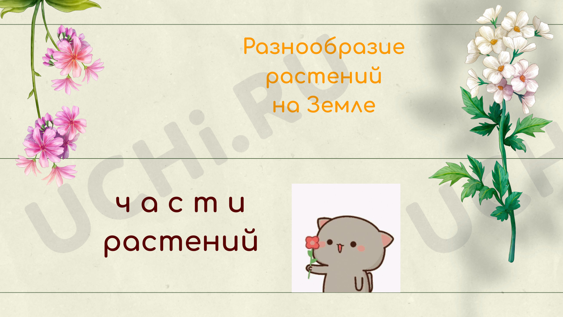 Предпросмотр материала Презентация к уроку окружающего мира по теме: Разнообразие растений на Земле