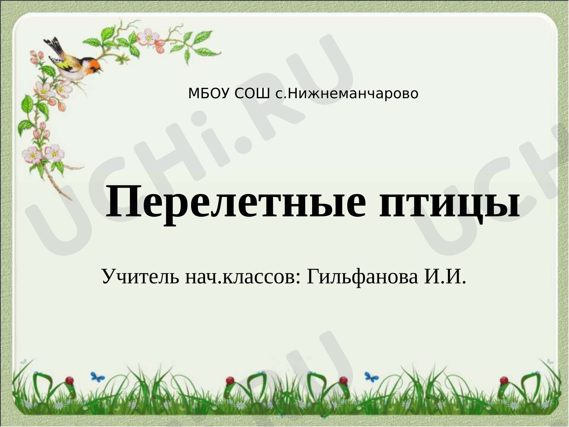 Предпросмотр материала Презентация к уроку окружающего мира. Перелётные птицы.