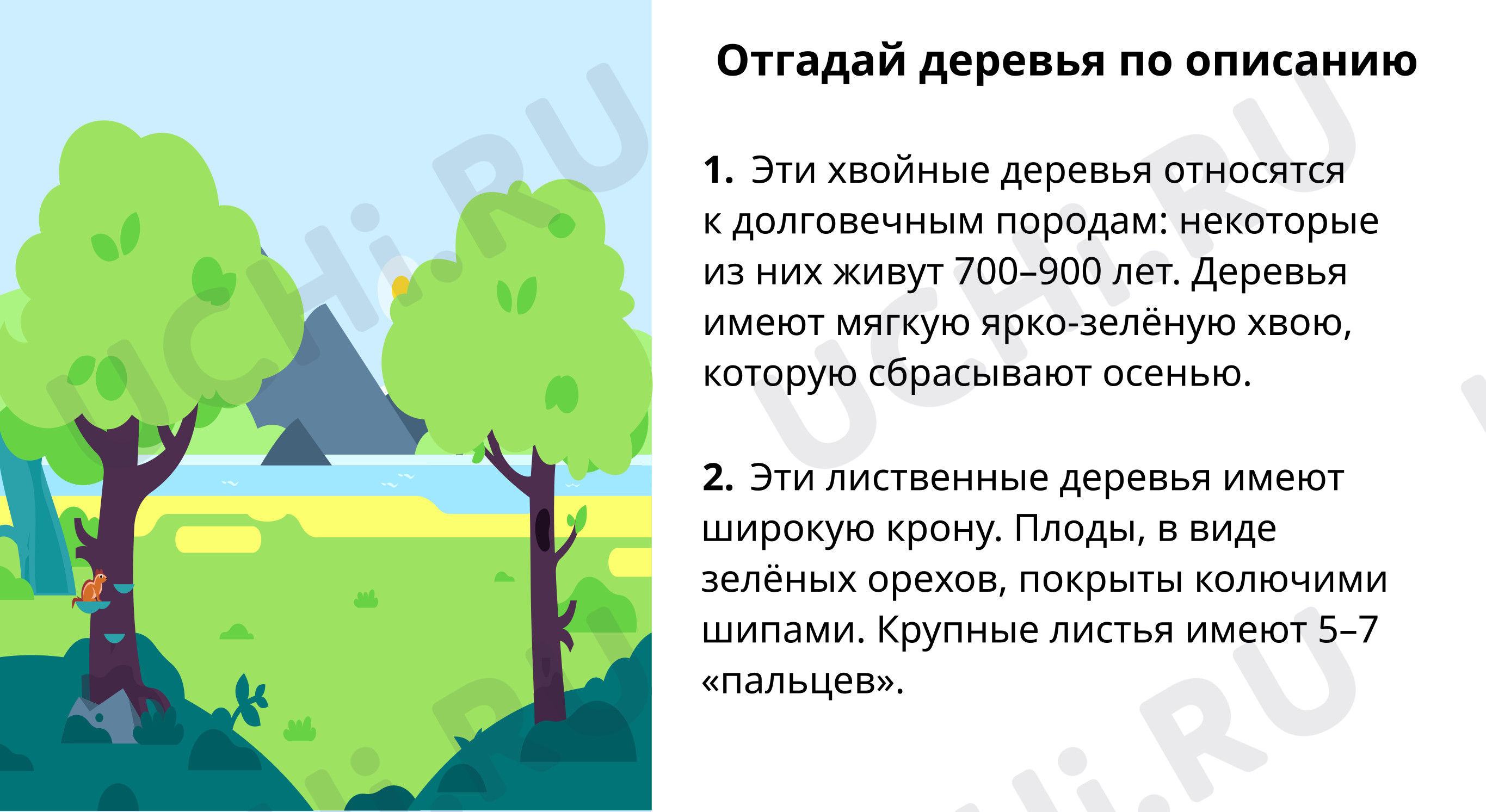 Отгадай деревья по описанию: Дательный и творительный падежи имён  прилагательных множественного числа | Учи.ру