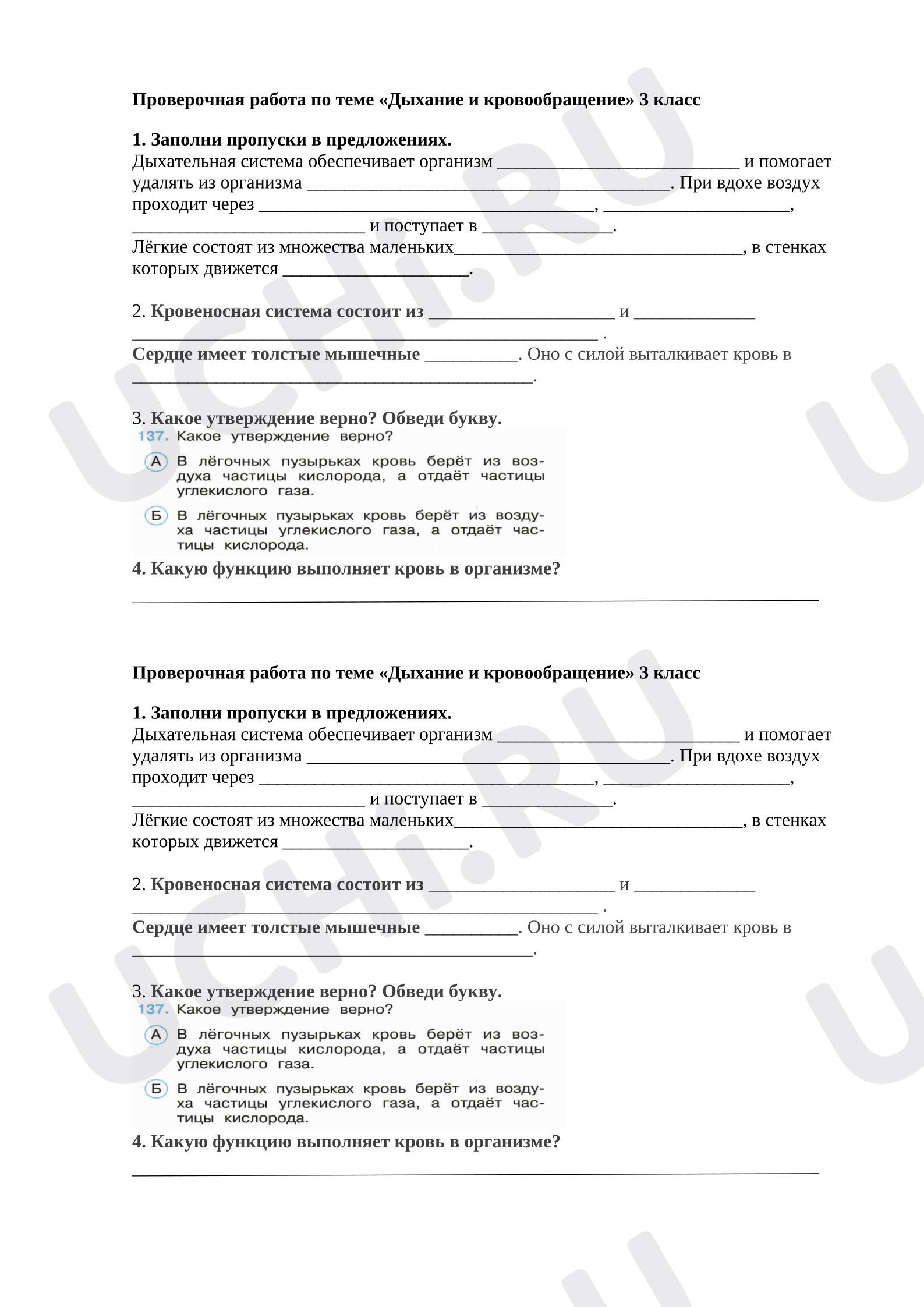 Предпросмотр материала Проверочная работа по окружающему миру по теме «Дыхание и кровообращение»