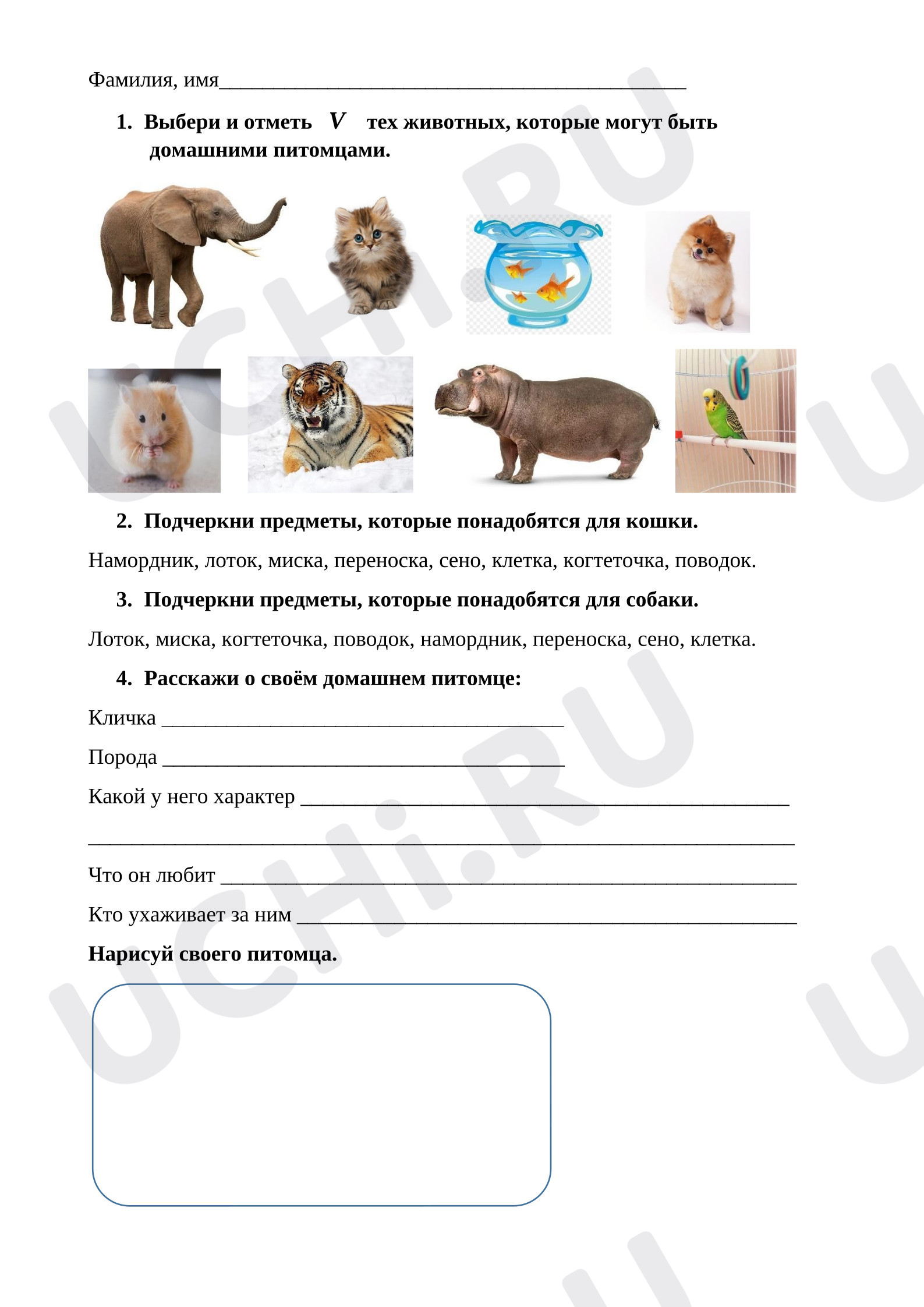 Предпросмотр материала Мир животных. Почему мы любим кошек и собак?
