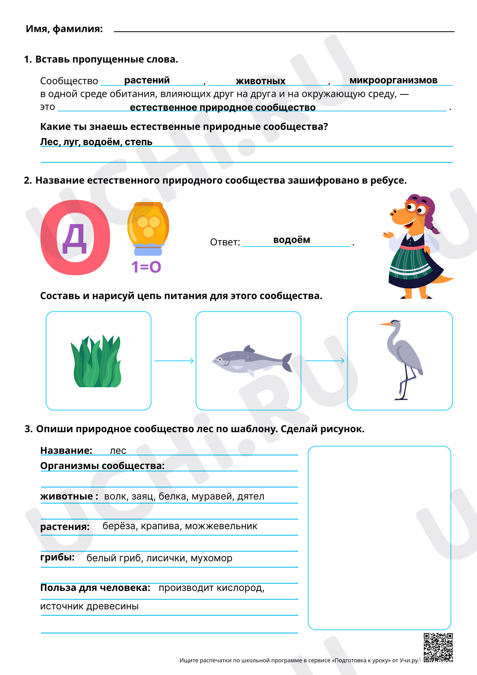 Предпросмотр материала Естественные природные сообщества: лес, луг, водоём. Ответы