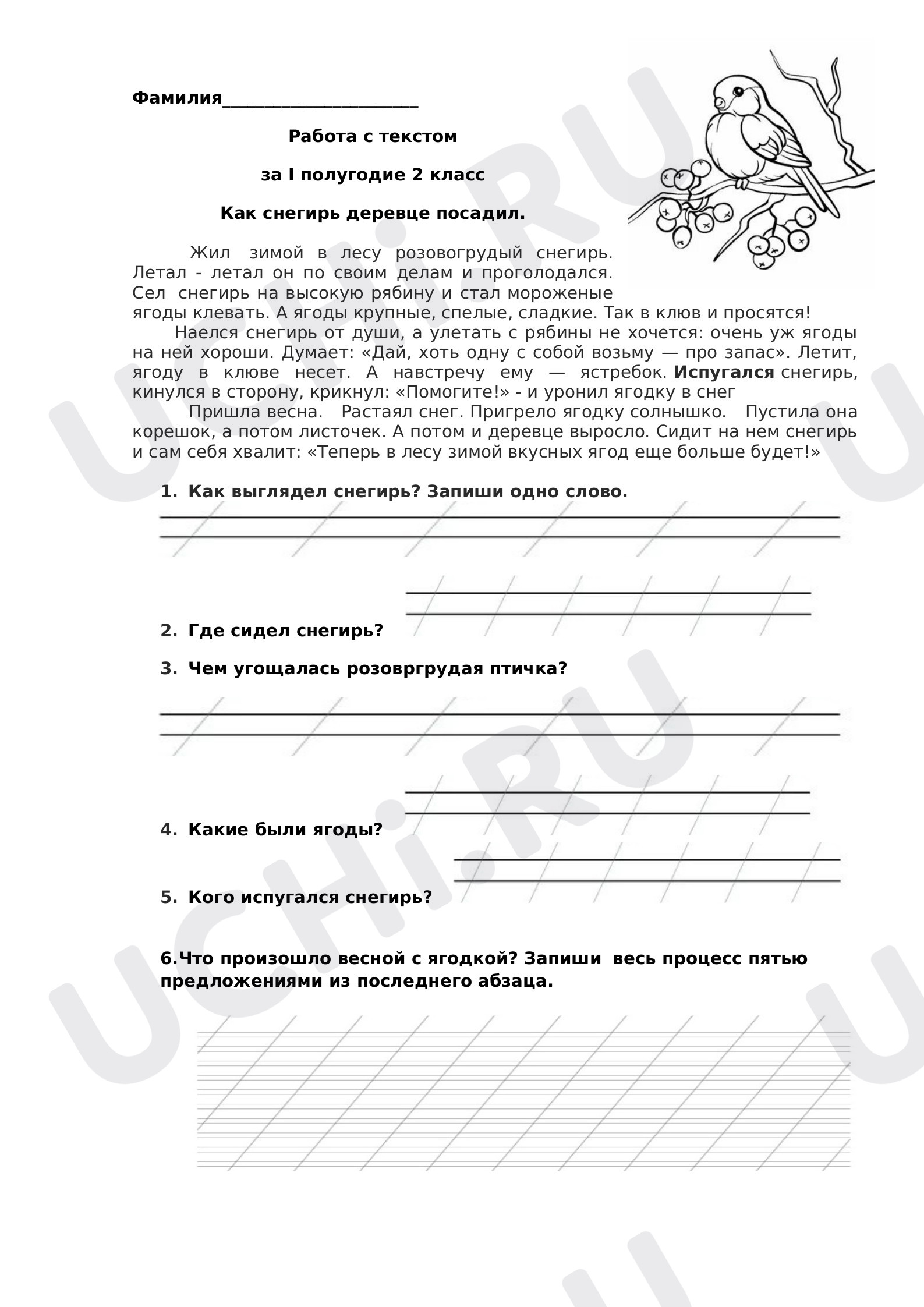 Предпросмотр материала Работа с текстом. Комплексная работа.