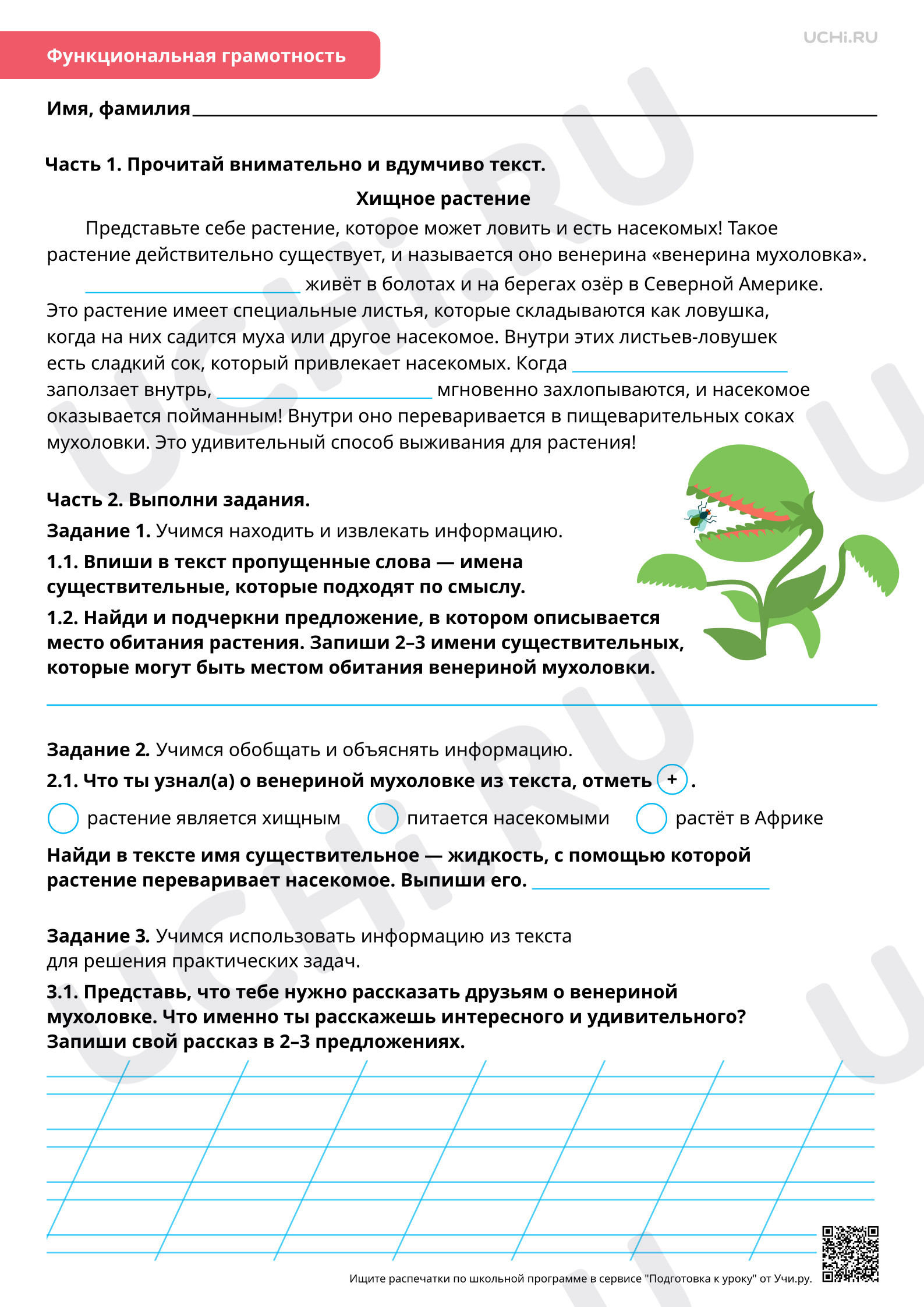 Предпросмотр материала Морфология: роль имён существительных в тексте. Повышенный уровень