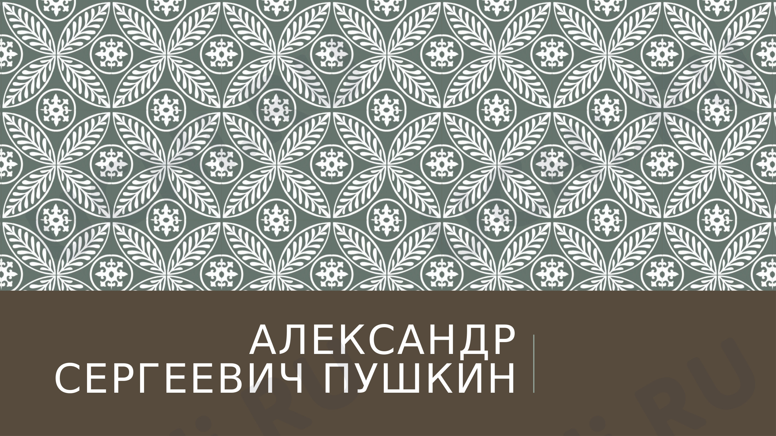 Предпросмотр материала Презентация к уроку литературного чтения по теме: Биография Александра Сергеевича Пушкина