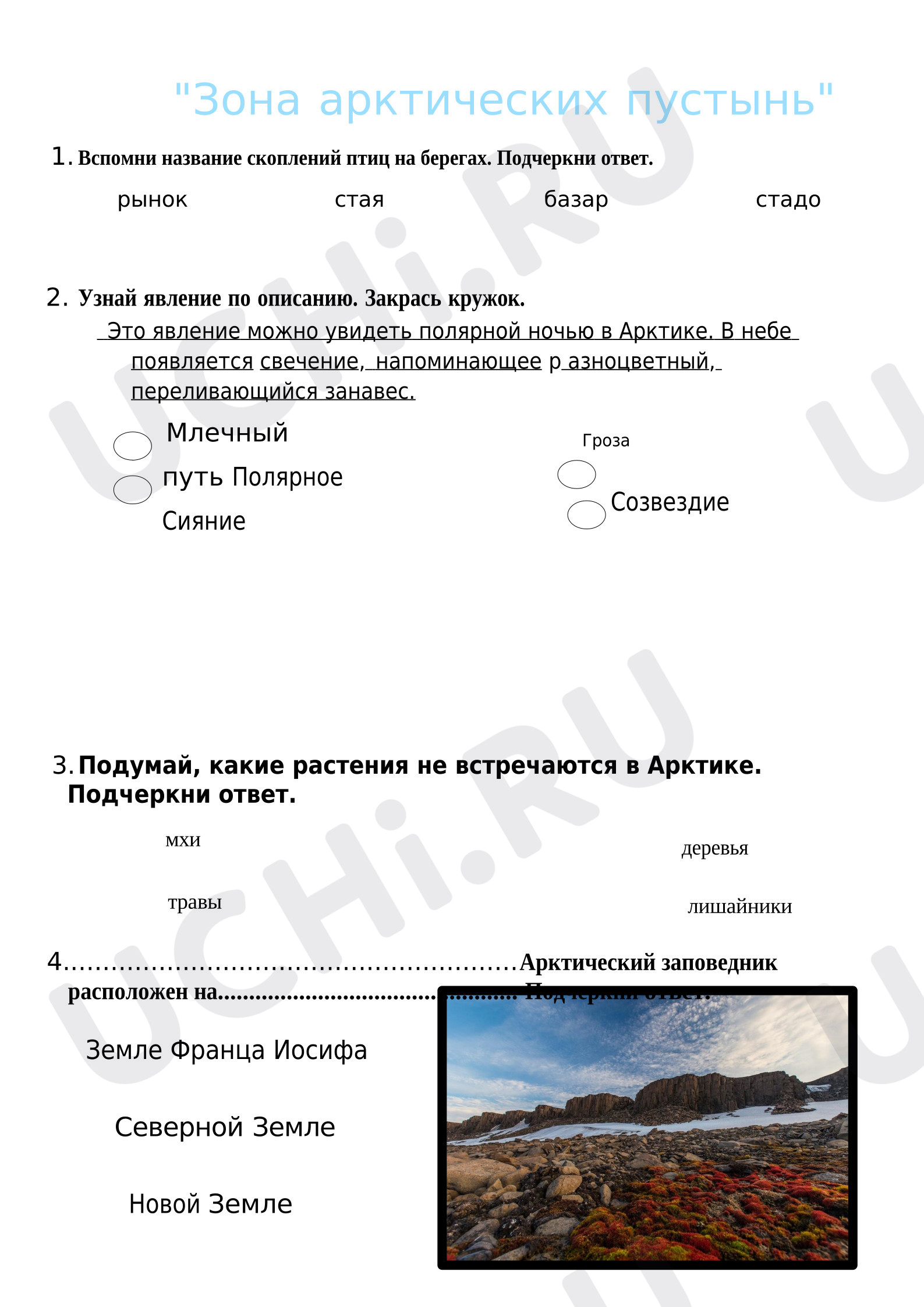 Предпросмотр материала Рабочий лист к уроку окружающего мира. Зона Арктических пустынь.