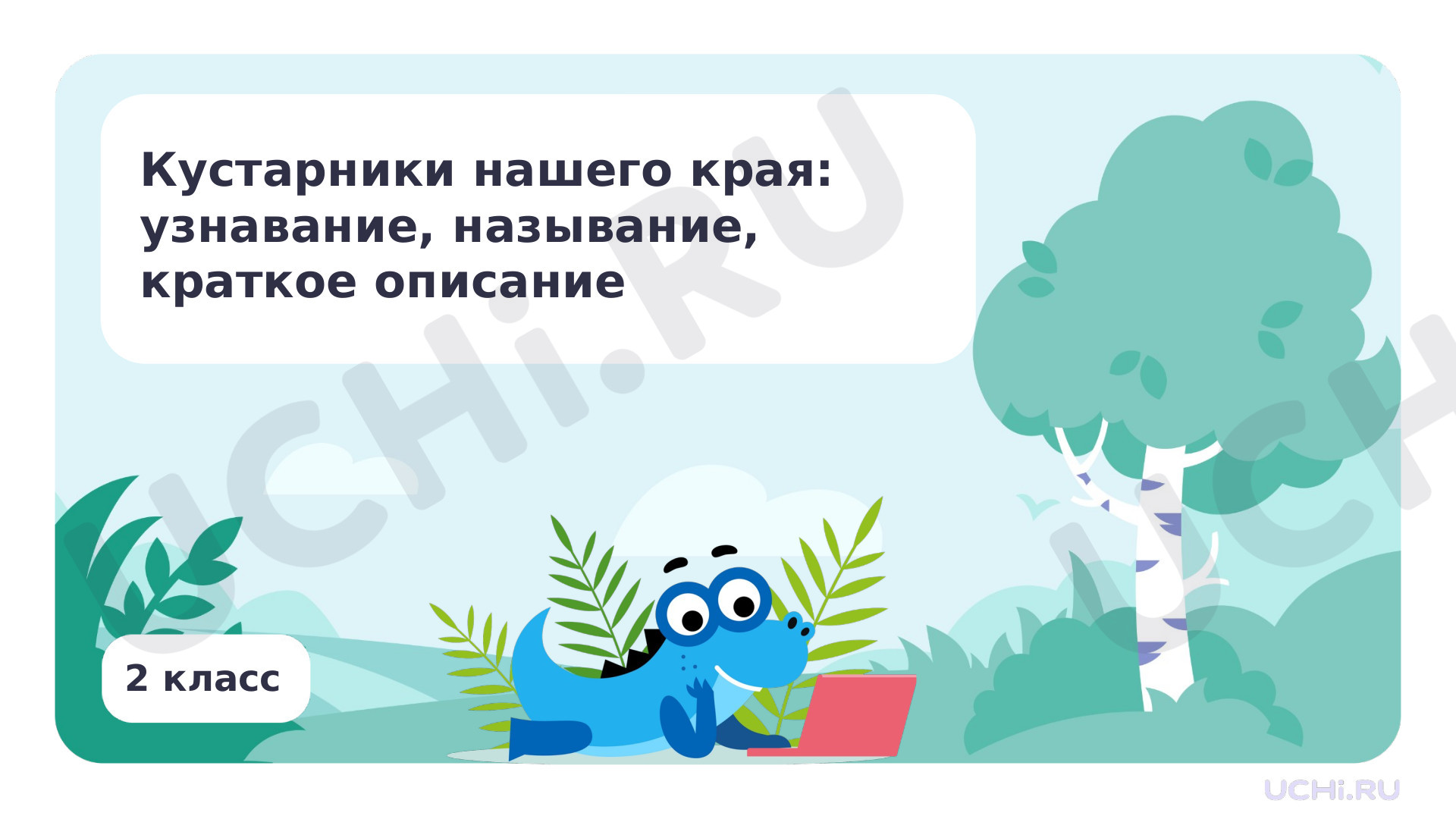 Предпросмотр материала Кустарники нашего края