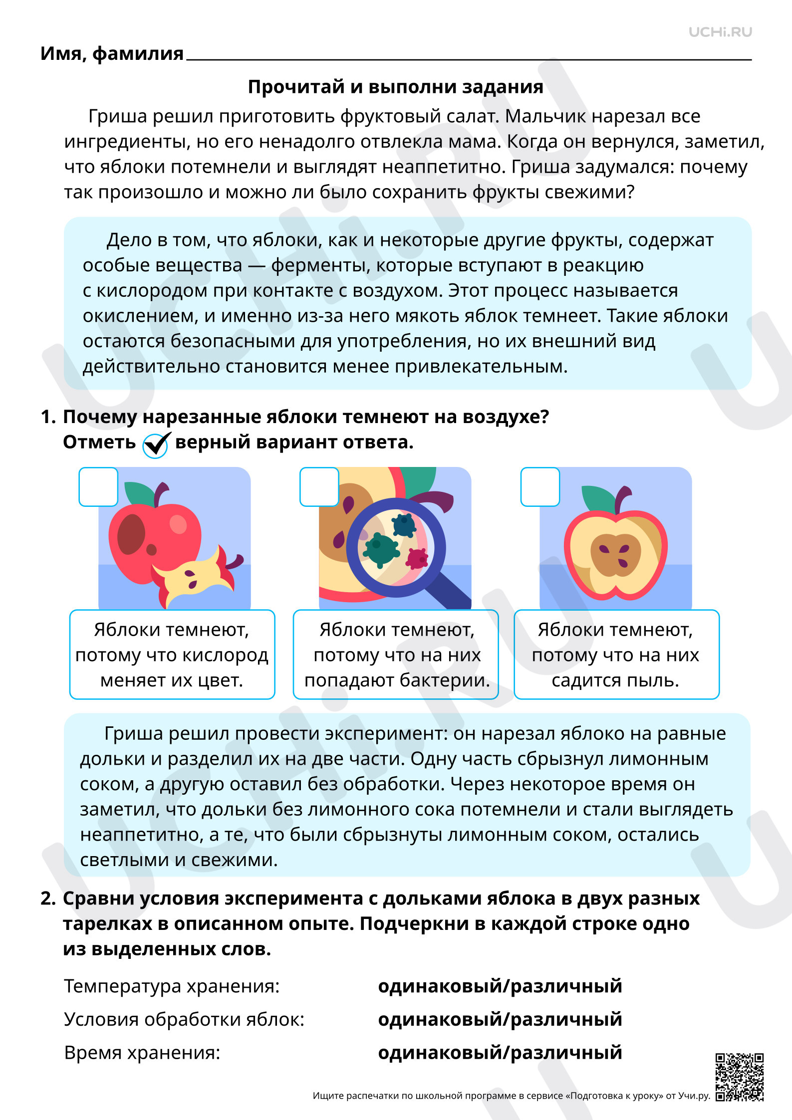 Предпросмотр материала Естественно-научная грамотность. Проводим эксперимент с яблоком.