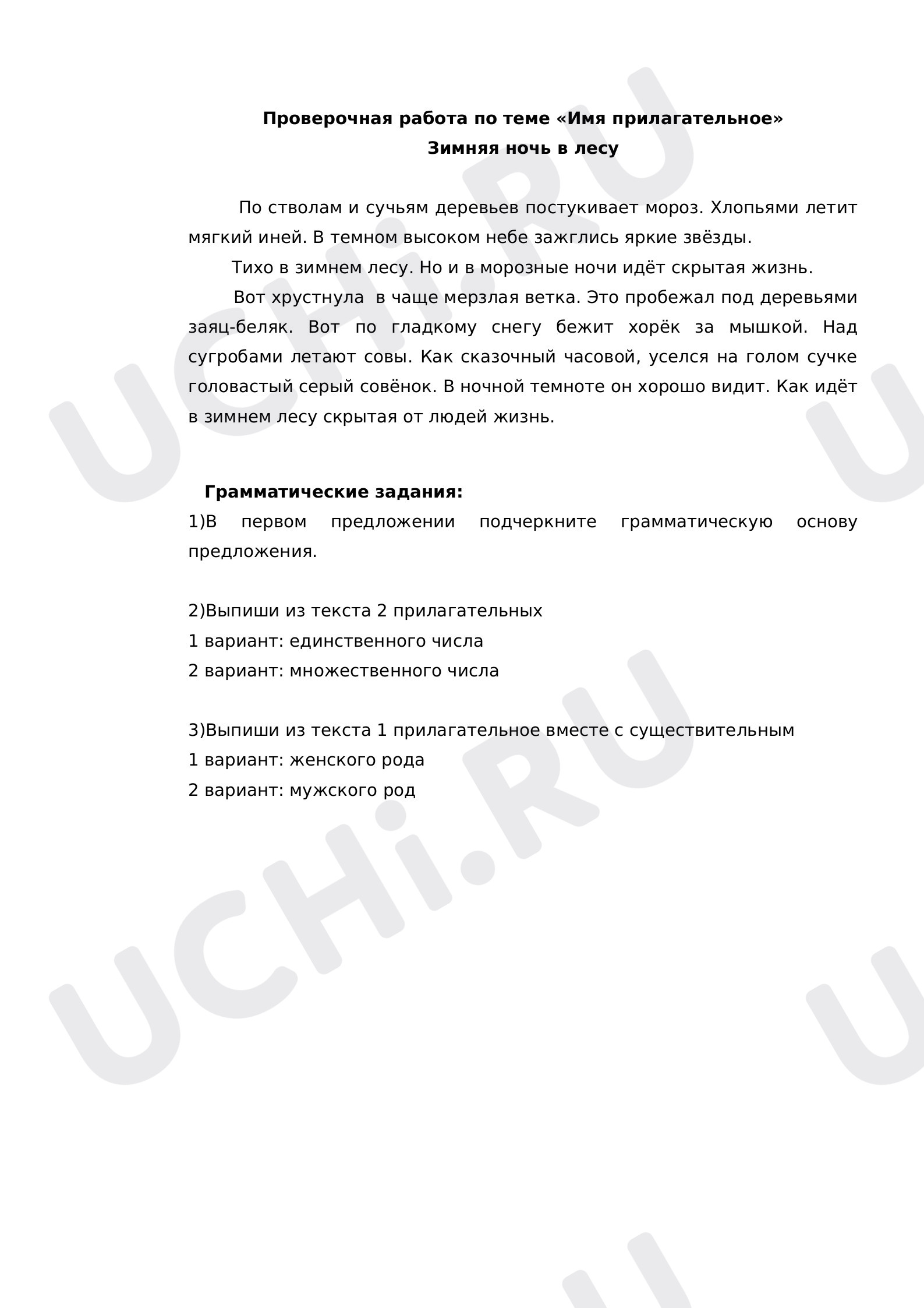 Предпросмотр материала Проверочная работа по русскому языку по теме"Имя прилагательное".