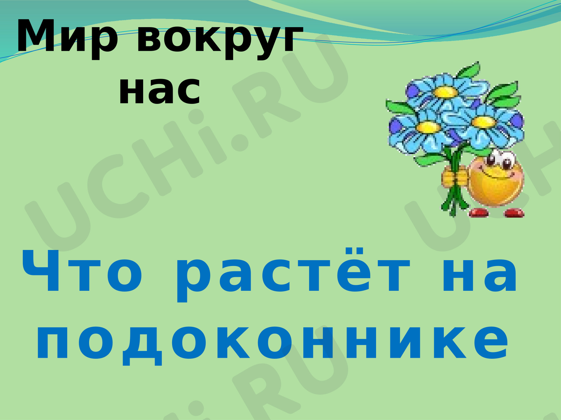 Предпросмотр материала Презентация к уроку окружающего мира. Что растет на подоконнике?