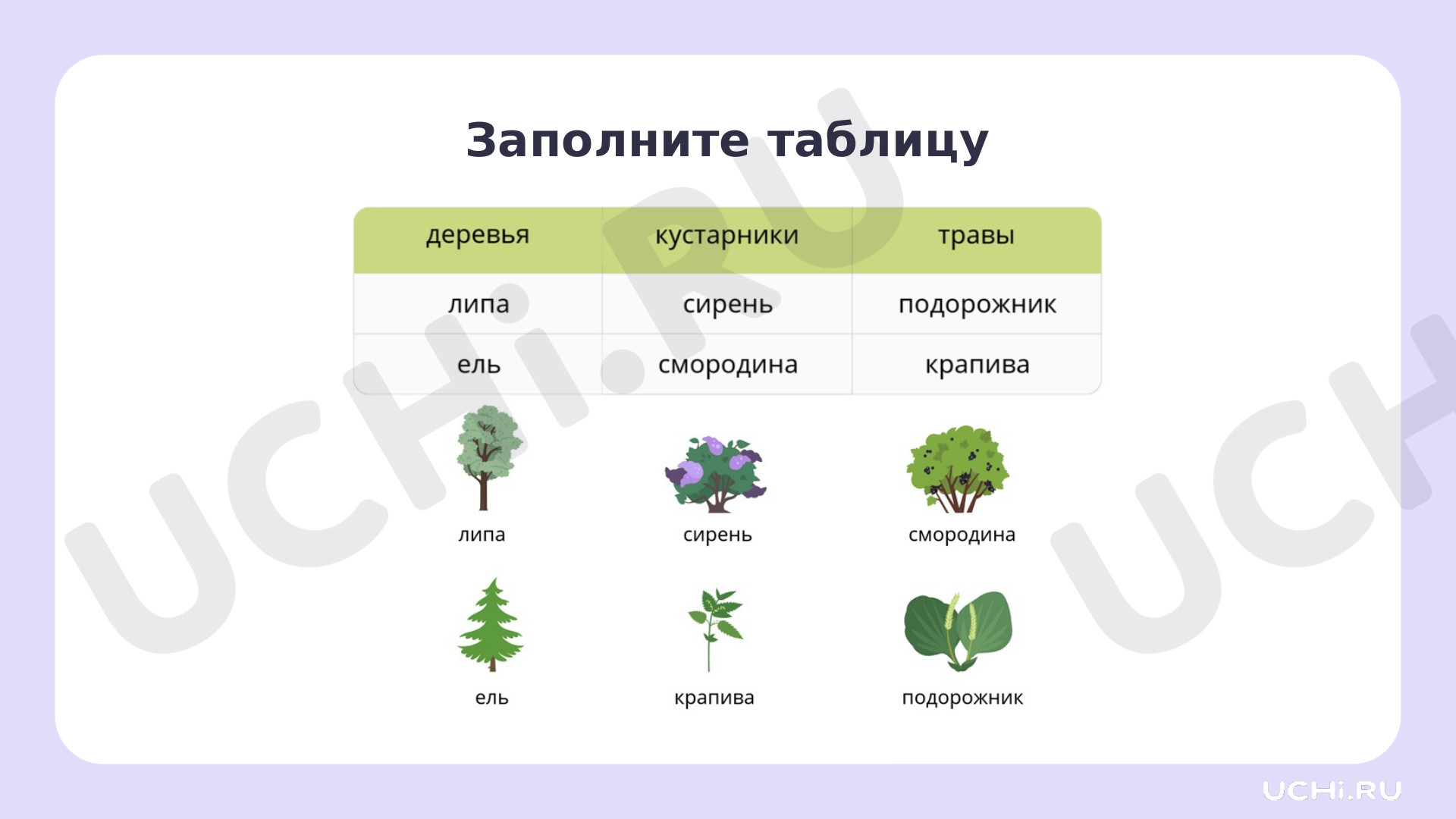 Окружающий мир для 2 четверти 1 класса. ЭОР | Подготовка к уроку от Учи.ру