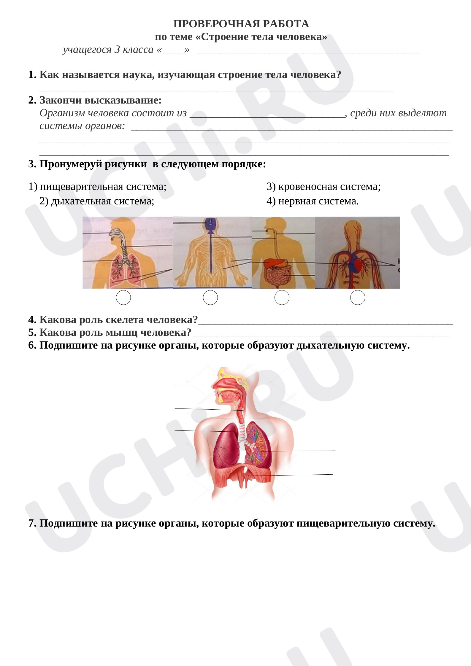Предпросмотр материала Строение тела человека