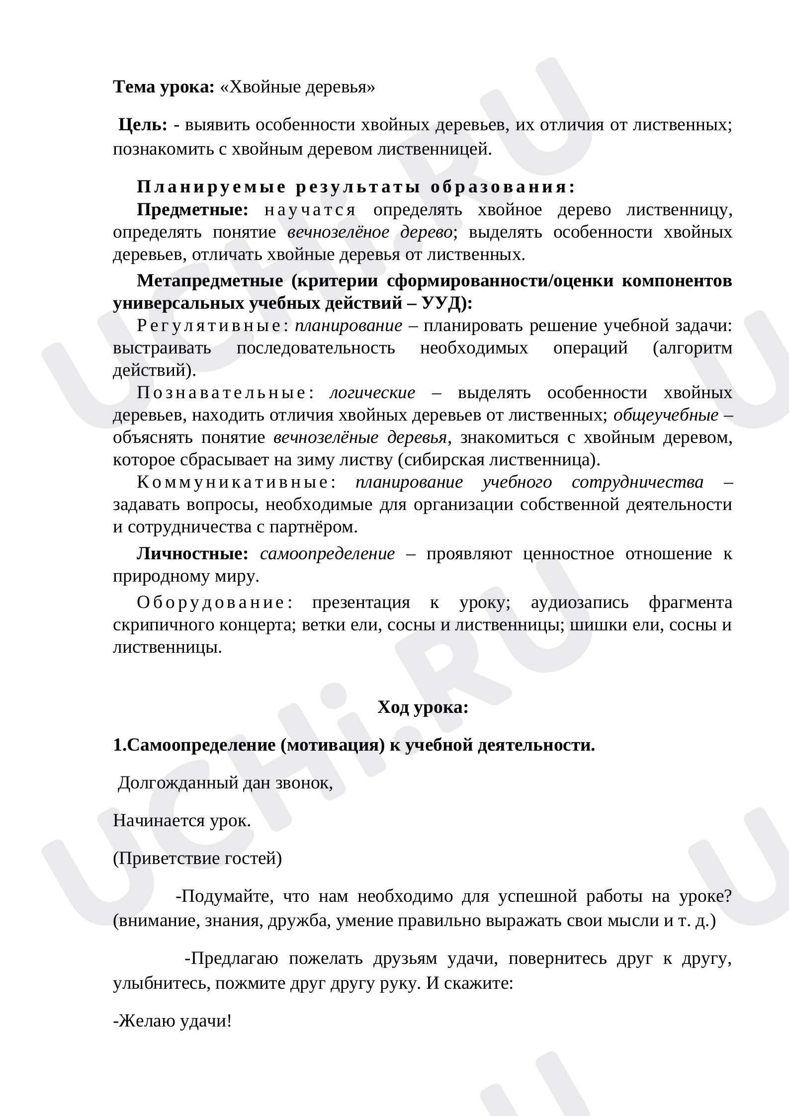 Предпросмотр материала Хвойные деревья